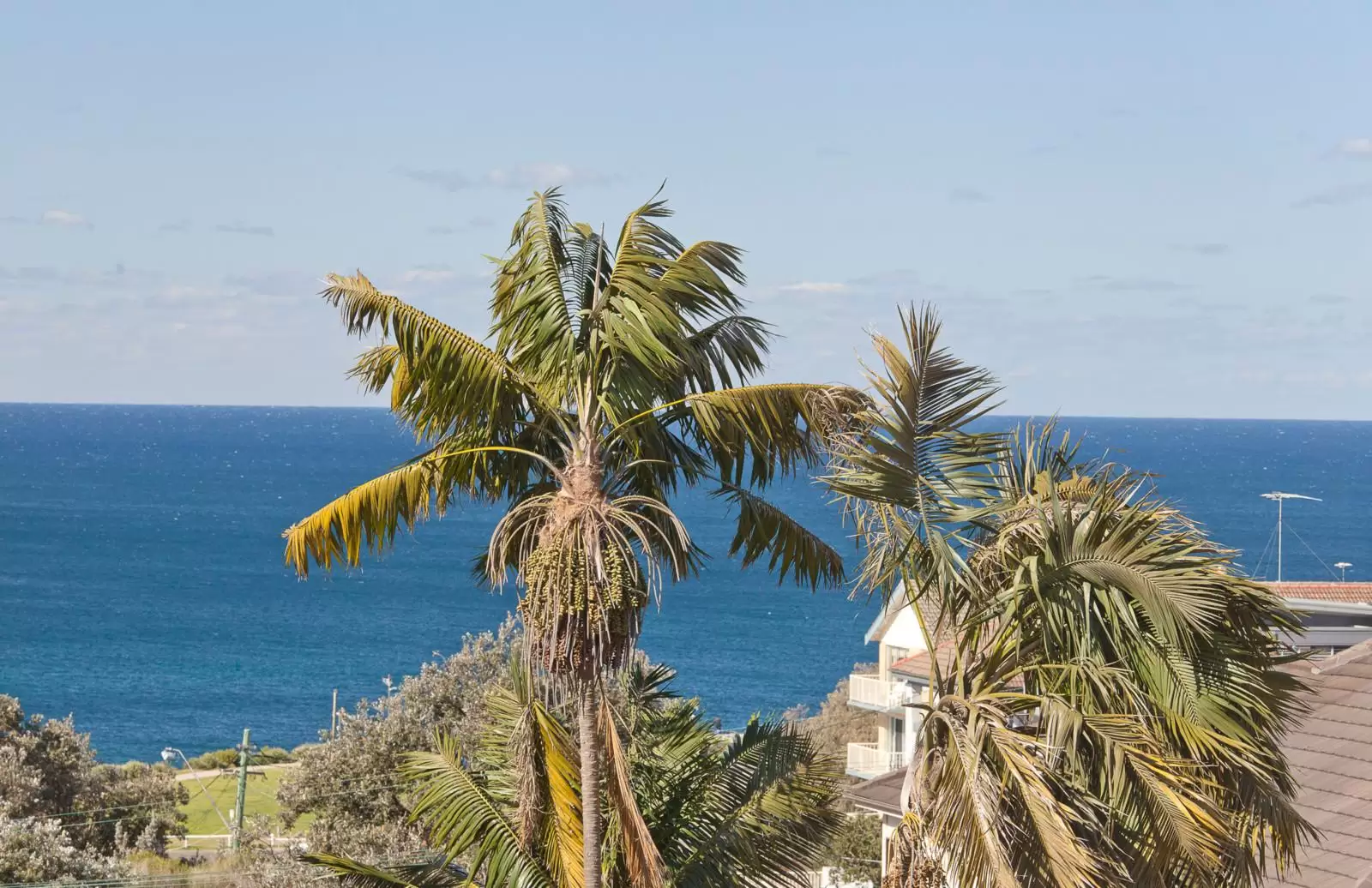 2/305 Arden Street, Coogee Sold by Ballard Property - image 7