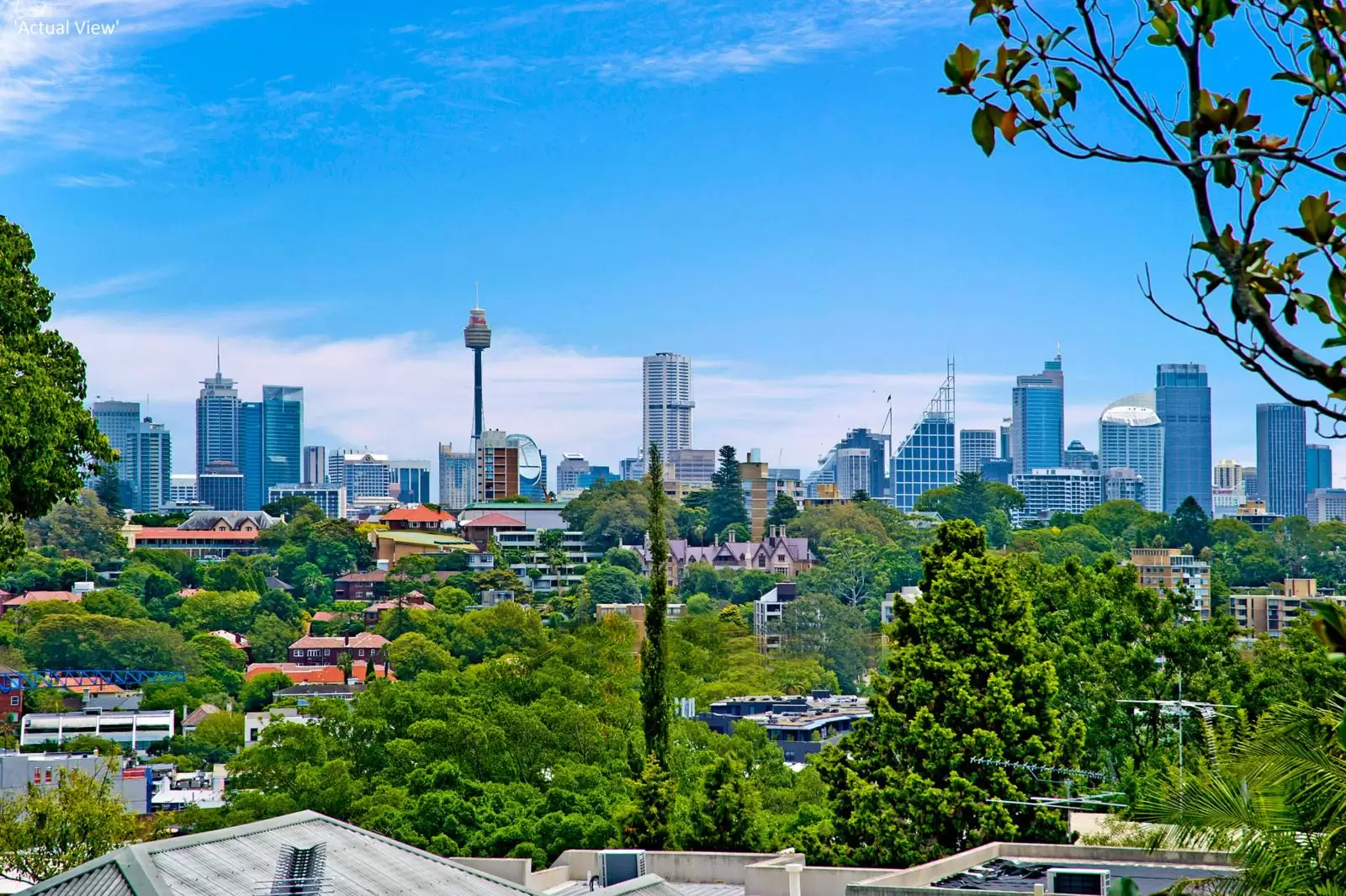 10 Kulgoa Road, Bellevue Hill Sold by Ballard Property - image 6