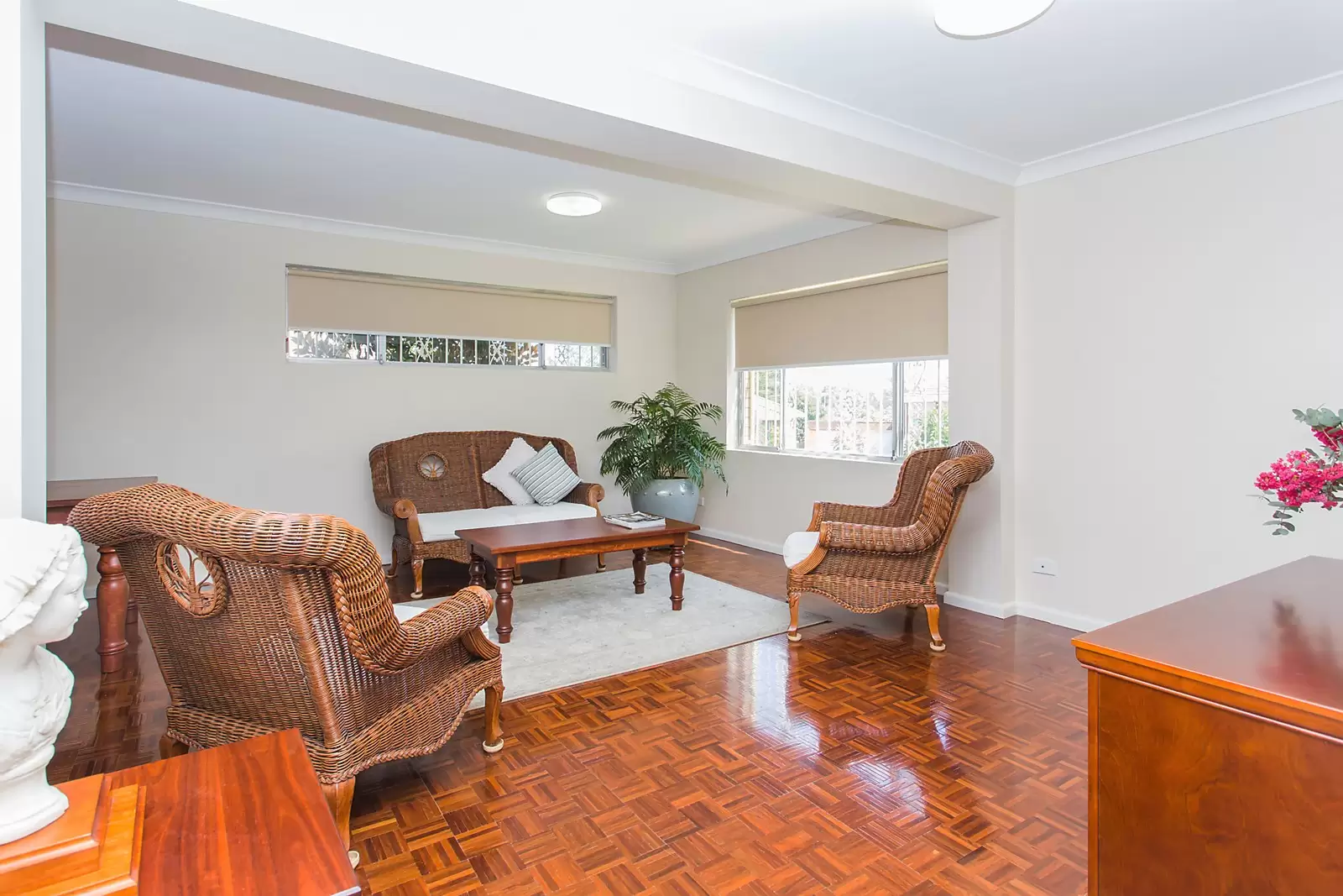 17 Macleay Place, Earlwood Sold by Ballard Property - image 2