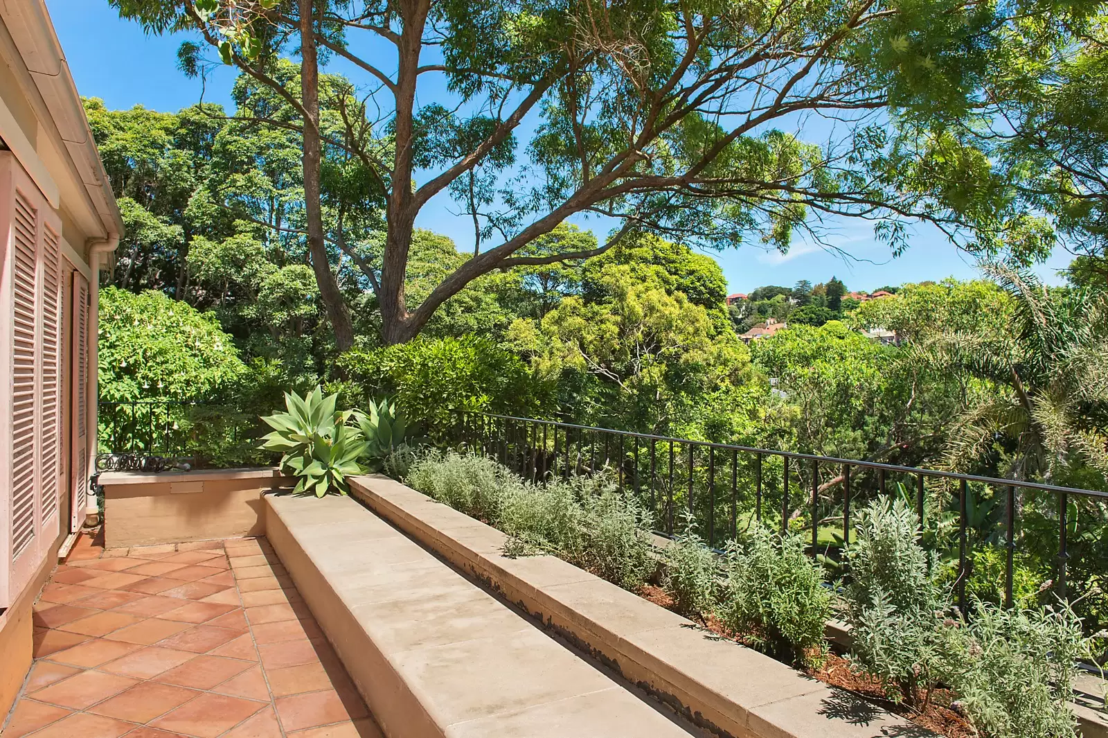 25 Suttie Road, Bellevue Hill Sold by Ballard Property - image 11