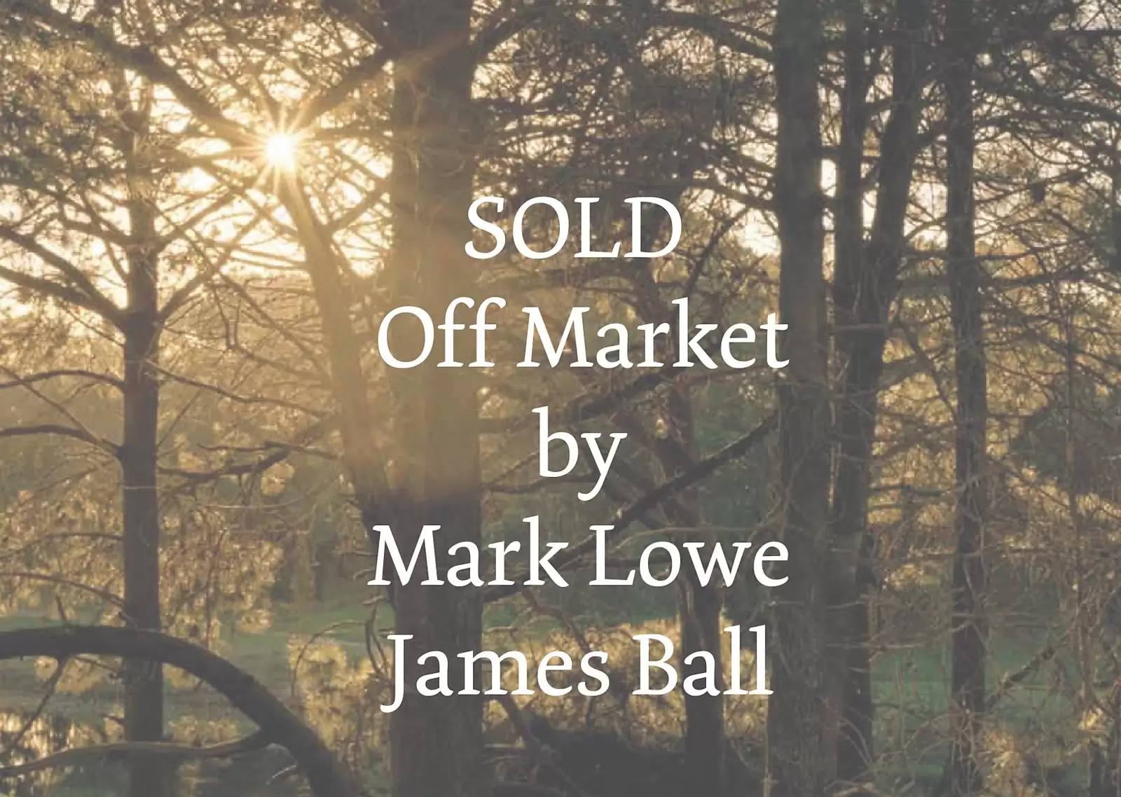 63 Moore Park Road, Centennial Park Sold by Ballard Property - image 1