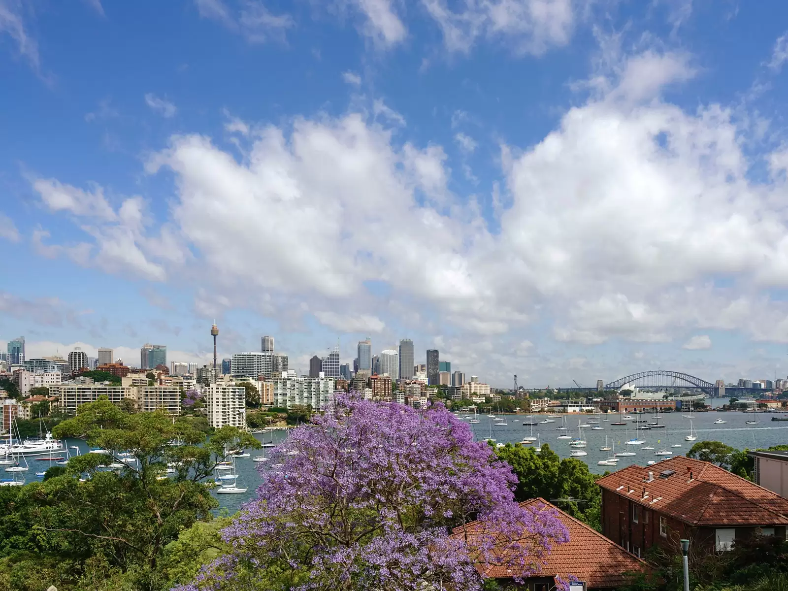 3/7 Goomerah Crescent, Darling Point Sold by Ballard Property - image 1