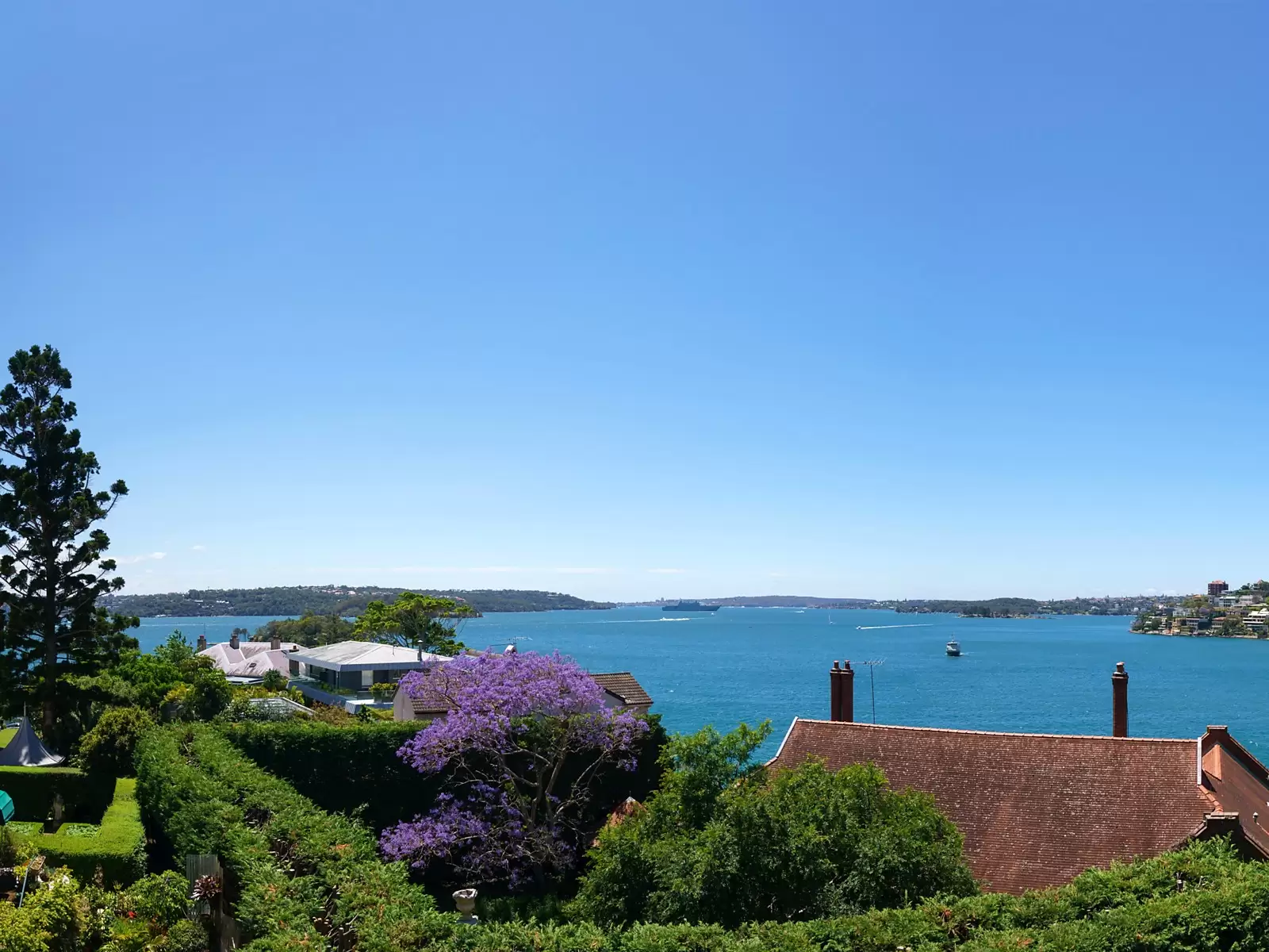 6a Etham Avenue, Darling Point Sold by Ballard Property - image 1
