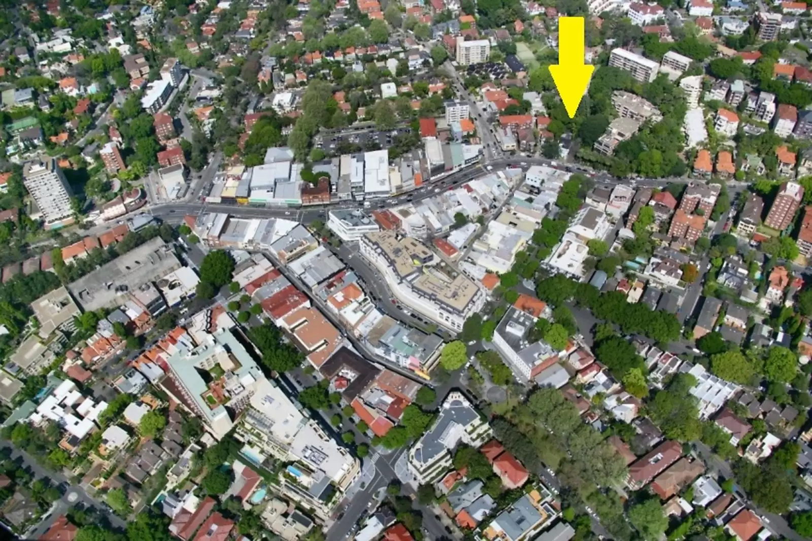351 New South Head Road, Double Bay Sold by Ballard Property - image 1