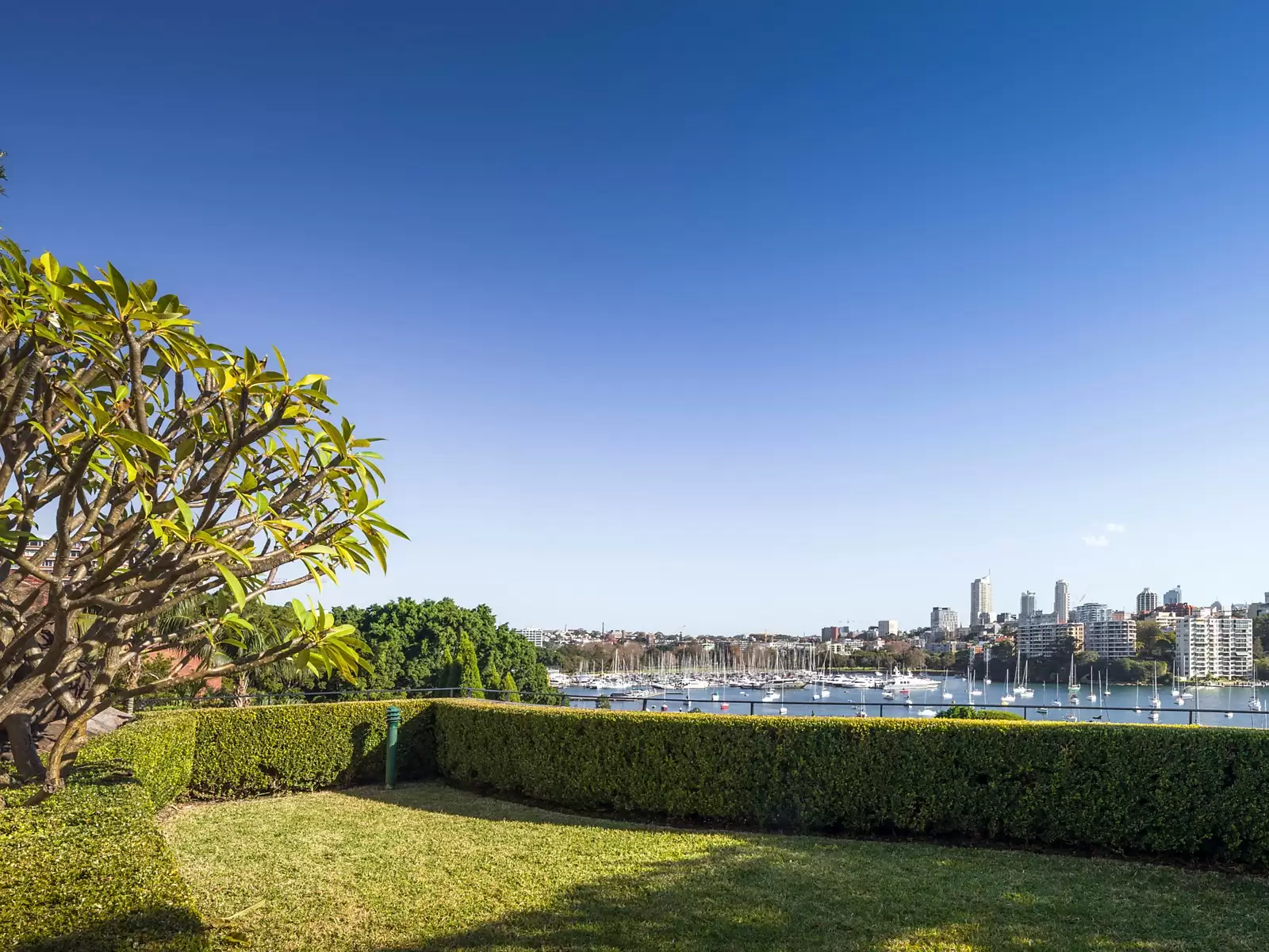 50a Yarranabbe Road, Darling Point Sold by Ballard Property - image 15