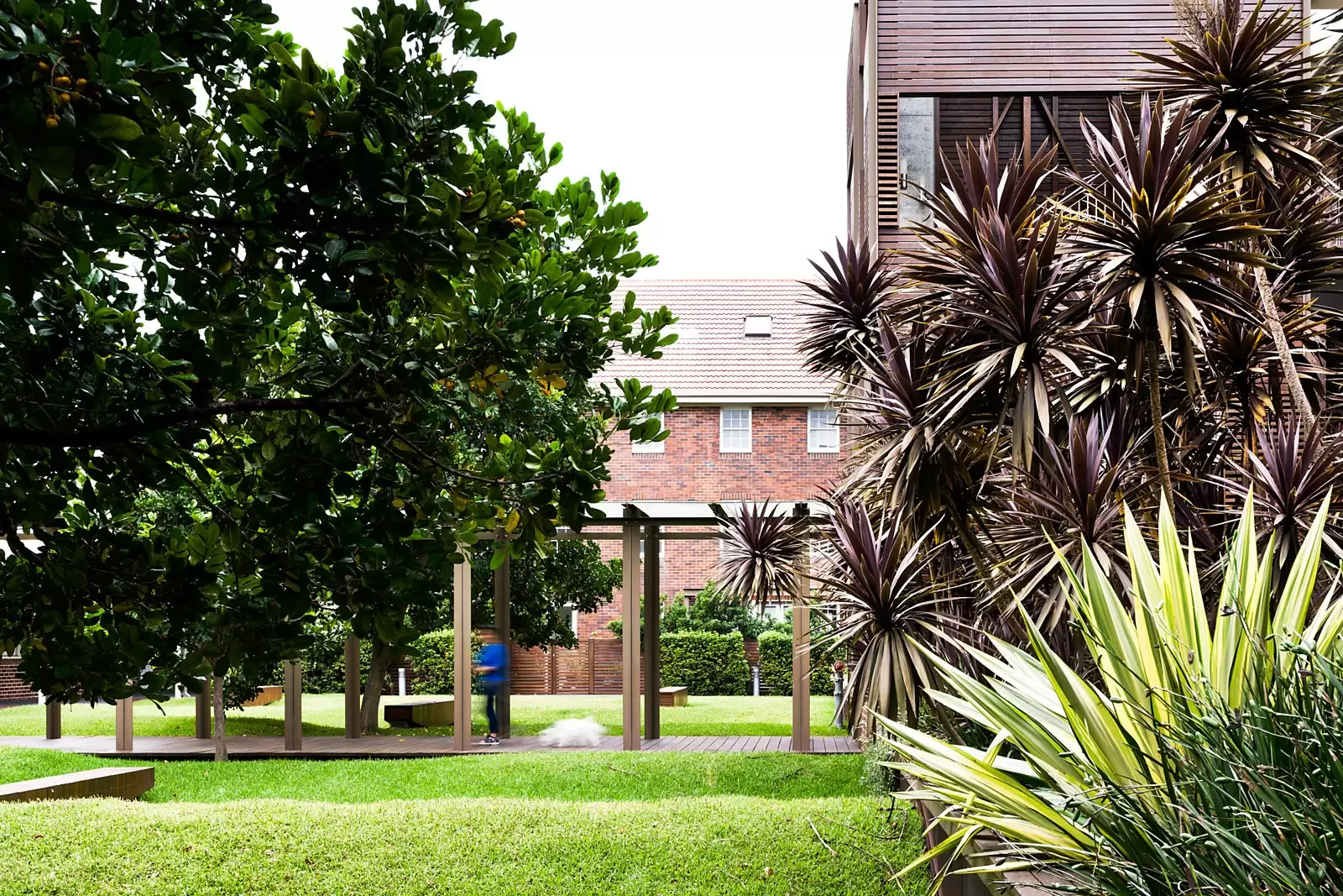 302/1 Pavilion Drive, Little Bay Sold by Ballard Property - image 9