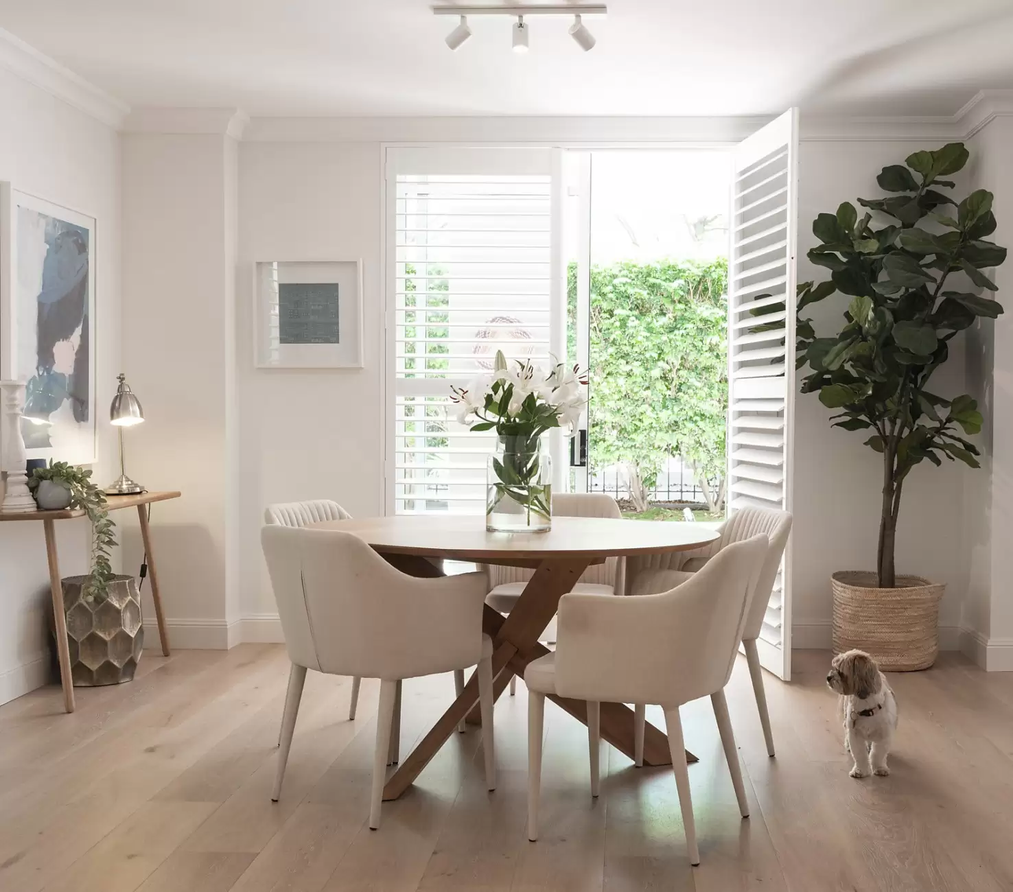 1/4 Young Street, Paddington Sold by Ballard Property - image 3