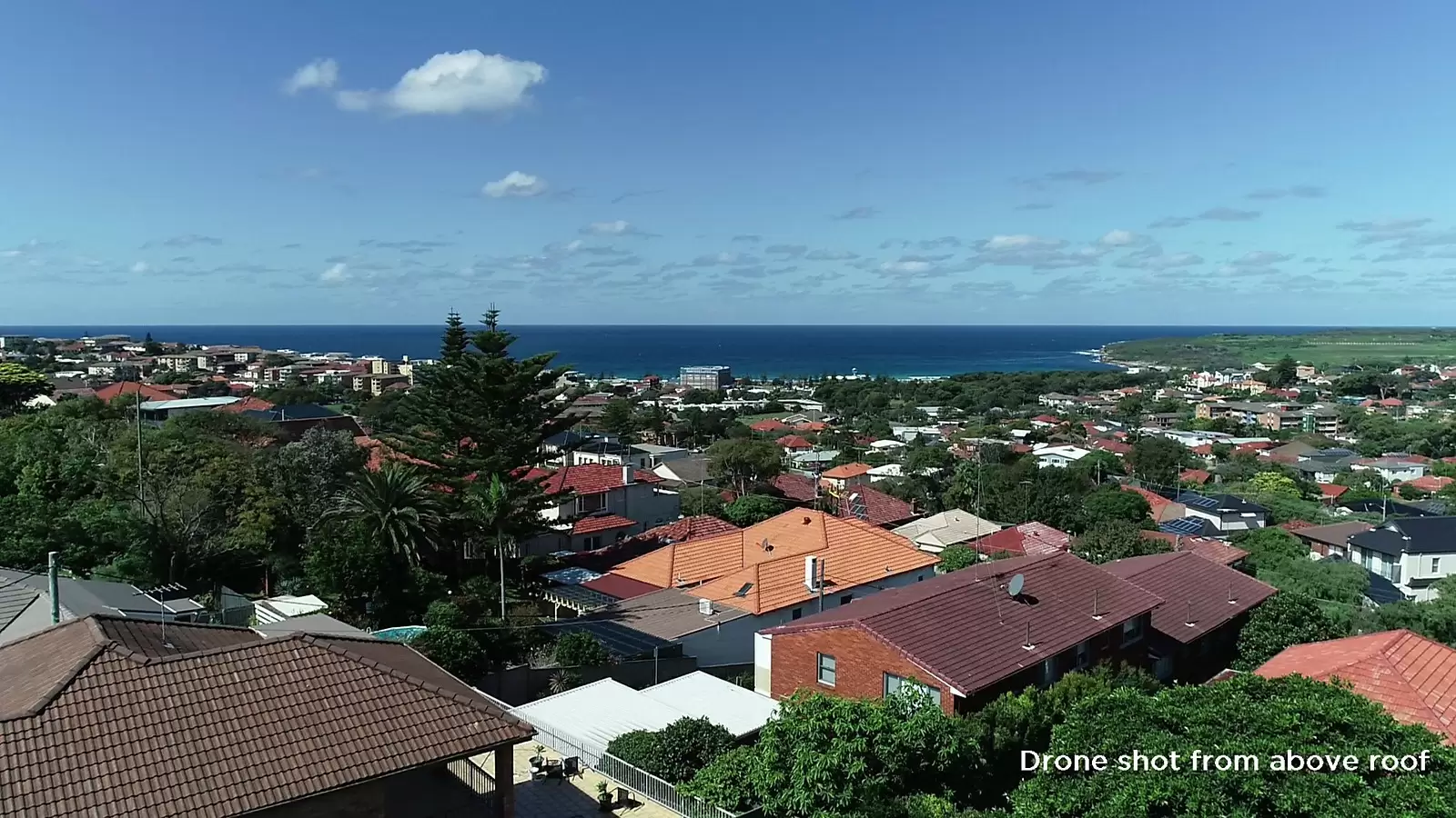 99 Haig Street, Maroubra Sold by Ballard Property - image 2