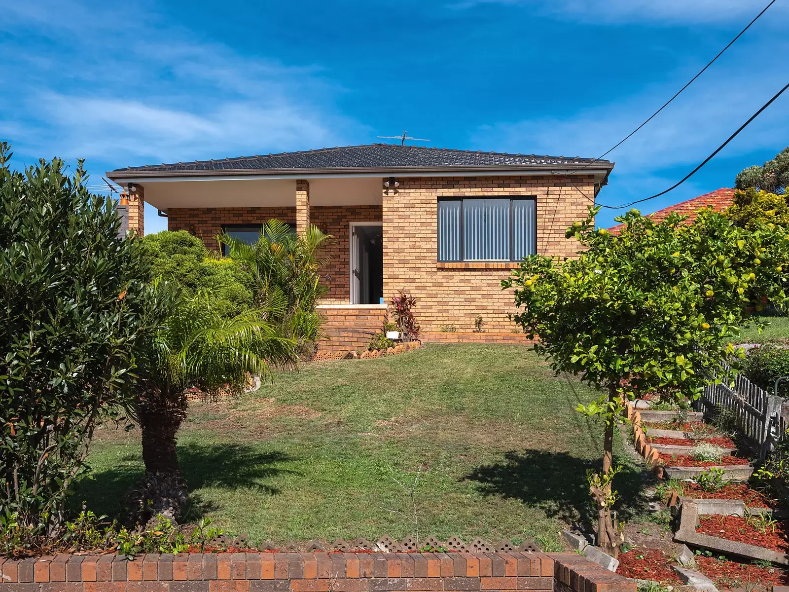 99 Haig Street, Maroubra Sold by Ballard Property - image 9