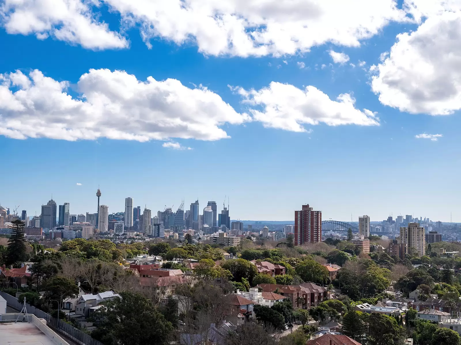 1301/79 Grafton Street, Bondi Junction Sold by Ballard Property - image 1