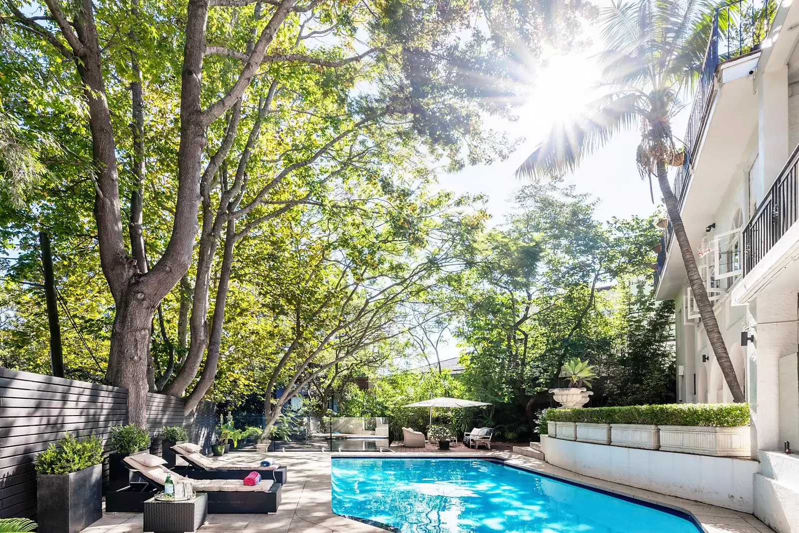 55 Suttie Road, Bellevue Hill Sold by Ballard Property - image 10