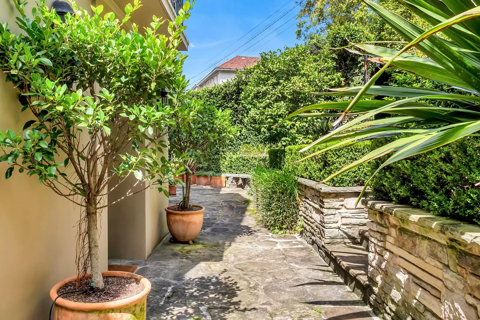 4 Roslyndale Avenue, Woollahra Sold by Ballard Property - image 20