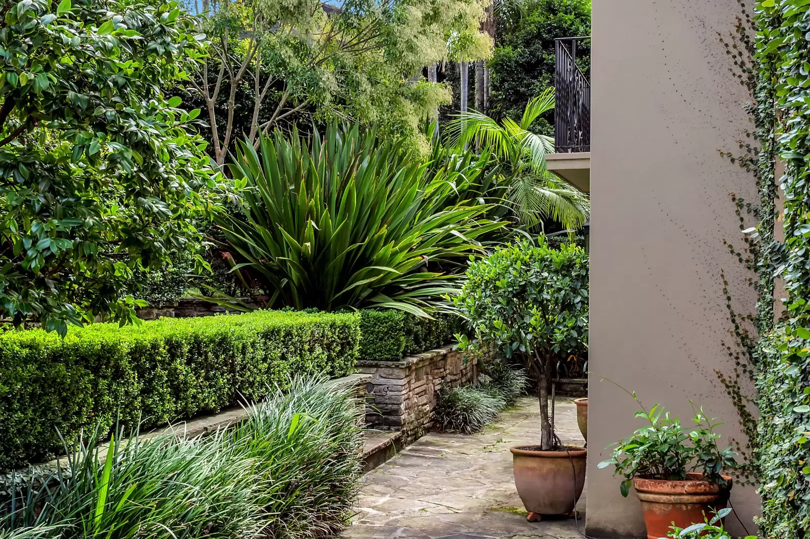4 Roslyndale Avenue, Woollahra Sold by Ballard Property - image 21