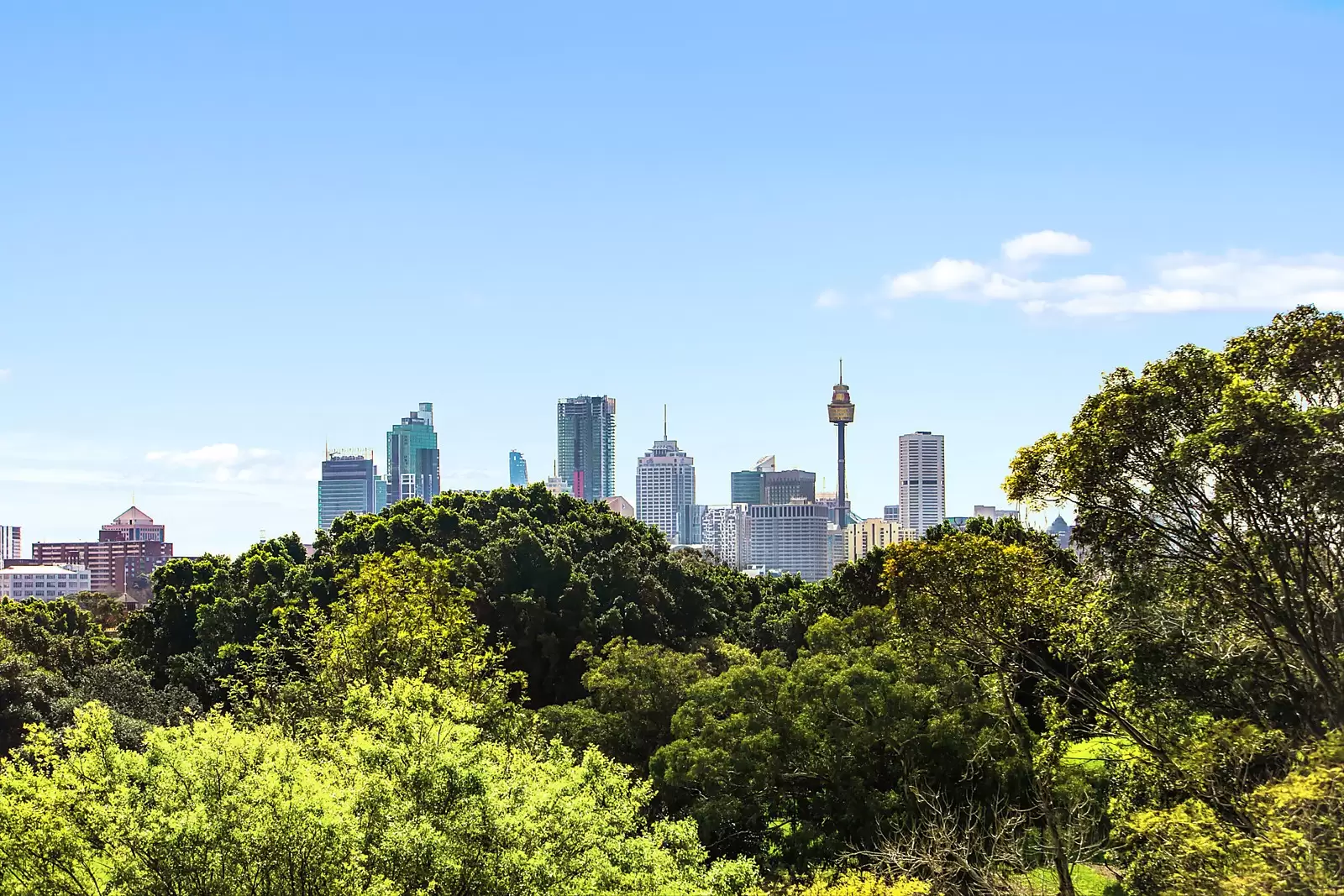 7/16 Salisbury Road, Kensington Sold by Ballard Property - image 1
