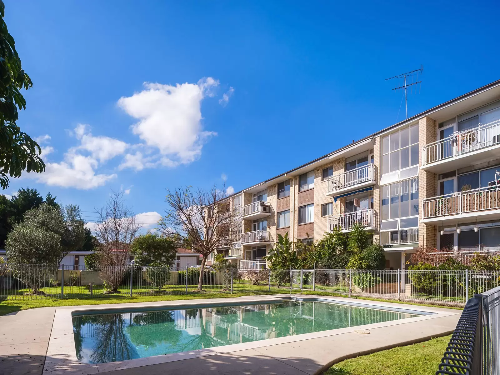 4/38A Ewart Street, Marrickville Sold by Ballard Property - image 7