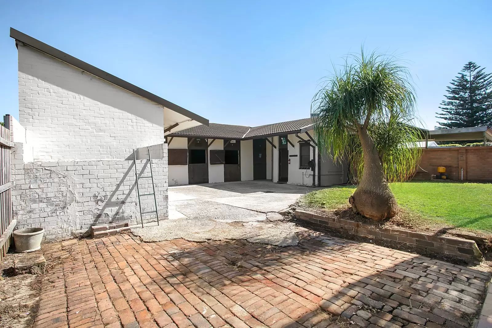 37 Milroy Avenue, Kensington Sold by Ballard Property - image 6