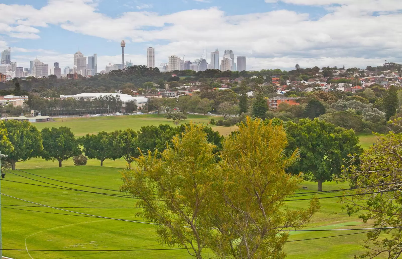 261 Darley Road, Randwick Sold by Ballard Property - image 8