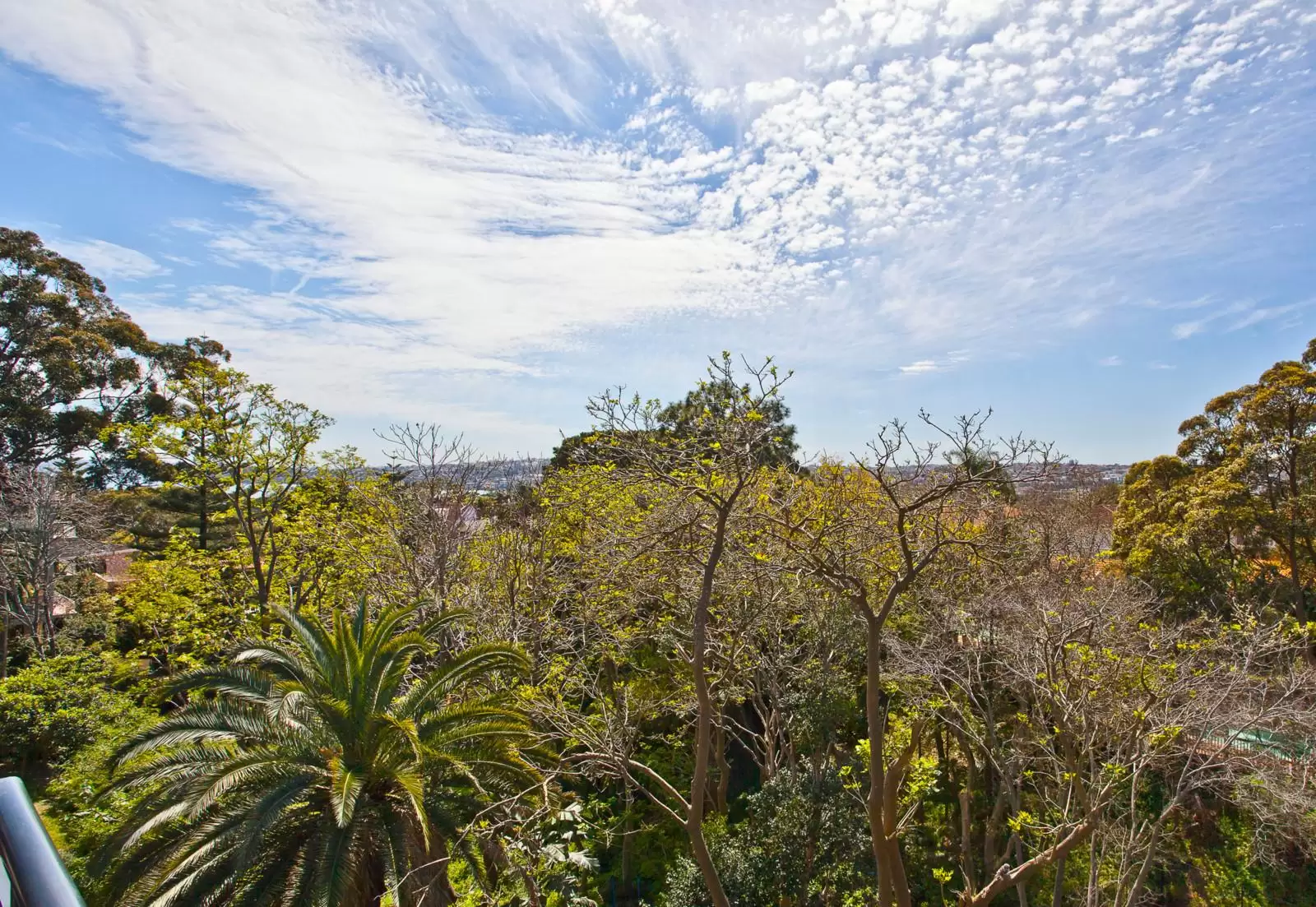 7/86 Drumalbyn Road, Bellevue Hill Sold by Ballard Property - image 10