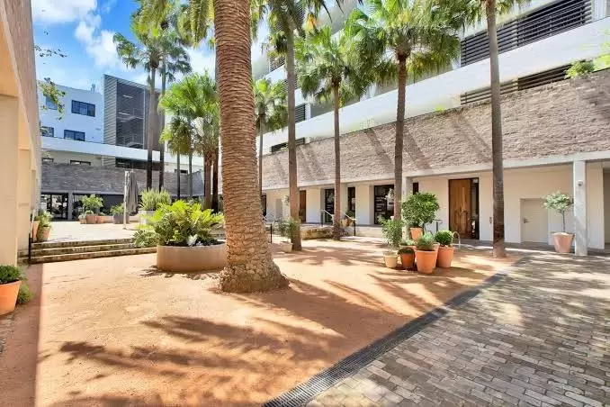 207/18 Danks Street, Waterloo Leased by Ballard Property - image 8