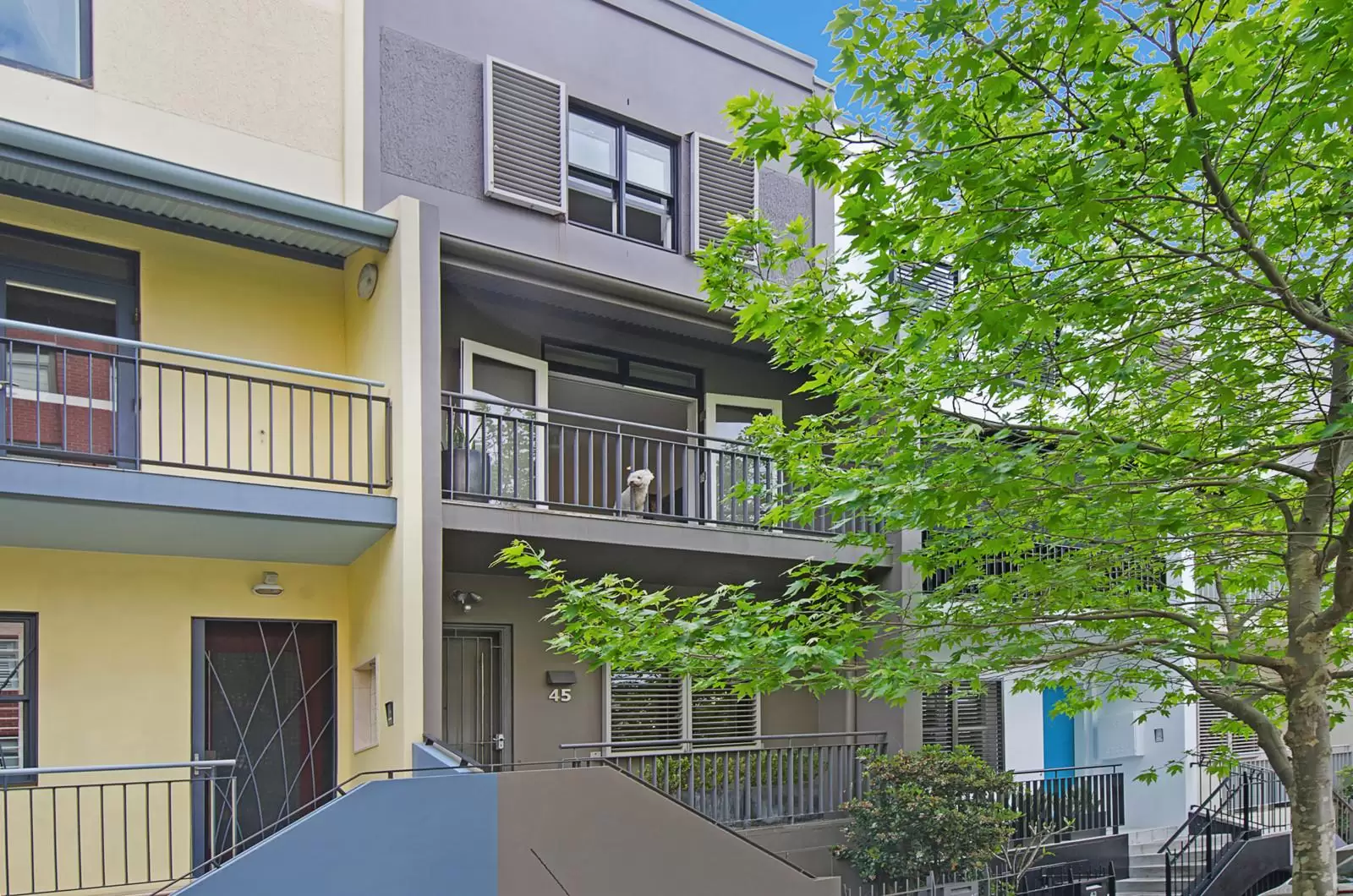 45 Flinton Street, Paddington Sold by Ballard Property - image 8