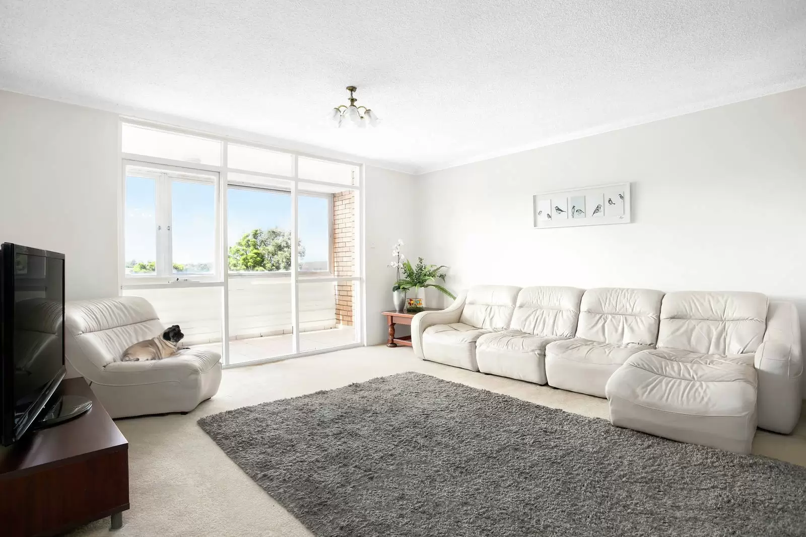 9/81 Middle Street, Kingsford Sold by Ballard Property - image 1