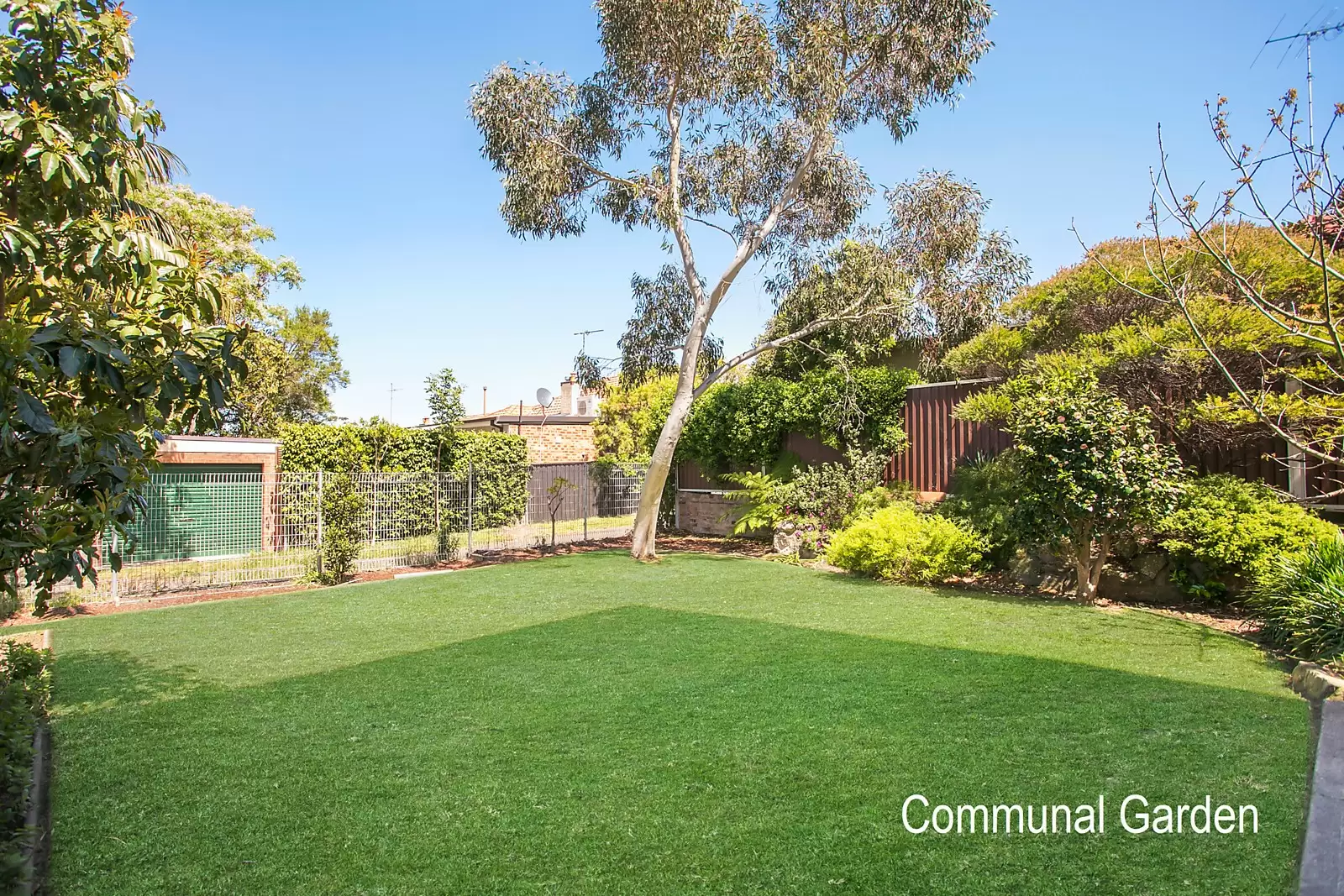 9/81 Middle Street, Kingsford Sold by Ballard Property - image 7