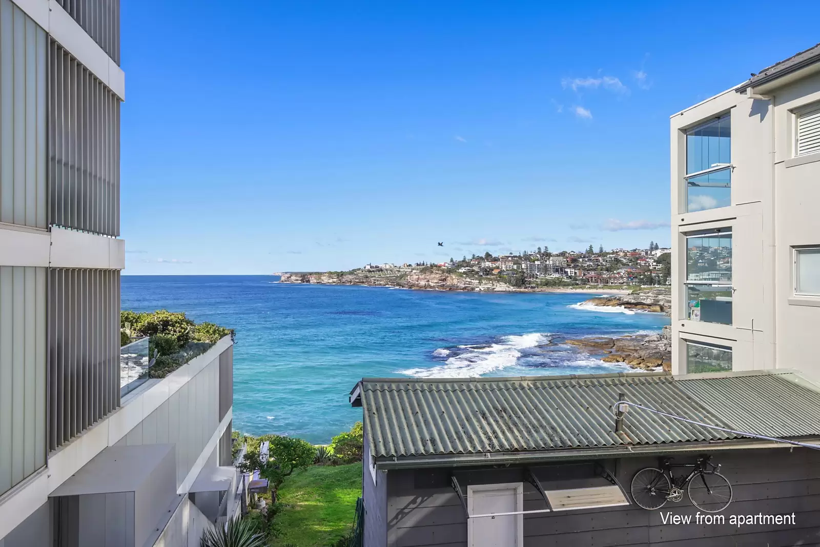 9 Kenneth Street, Tamarama Sold by Ballard Property - image 6