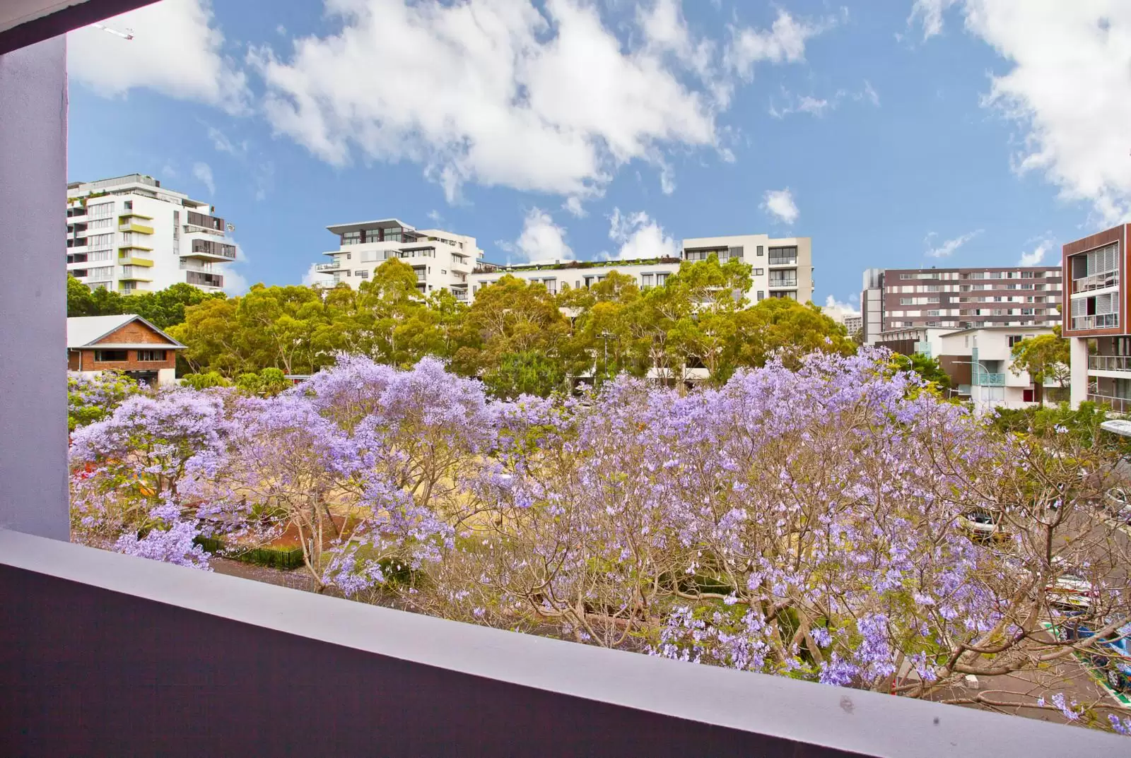 14/9 Grandstand Parade, Zetland Sold by Ballard Property - image 7