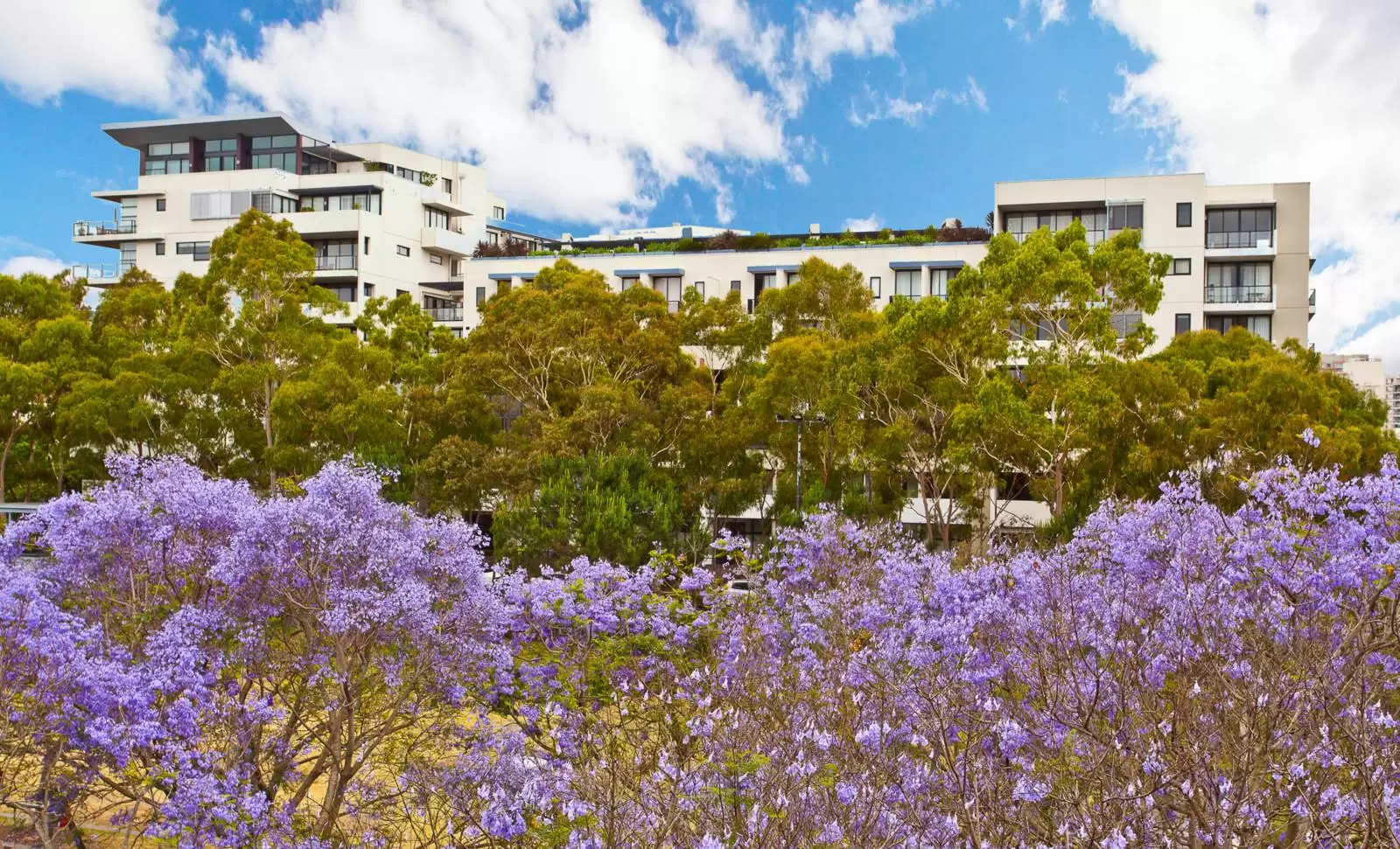14/9 Grandstand Parade, Zetland Sold by Ballard Property - image 1