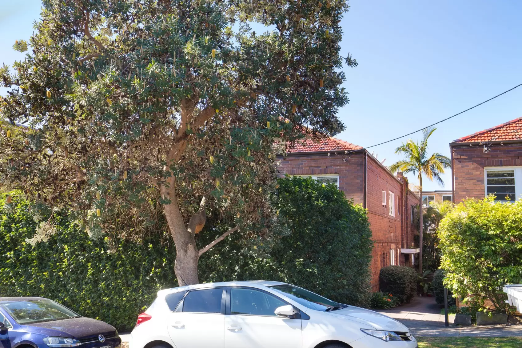 6/33 Byron Street, Coogee Leased by Ballard Property - image 7