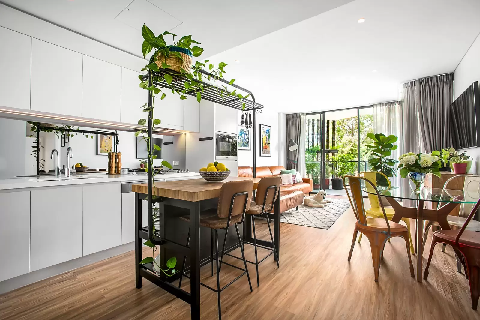 1215/1 Scotsman Street, Forest Lodge Sold by Ballard Property - image 2