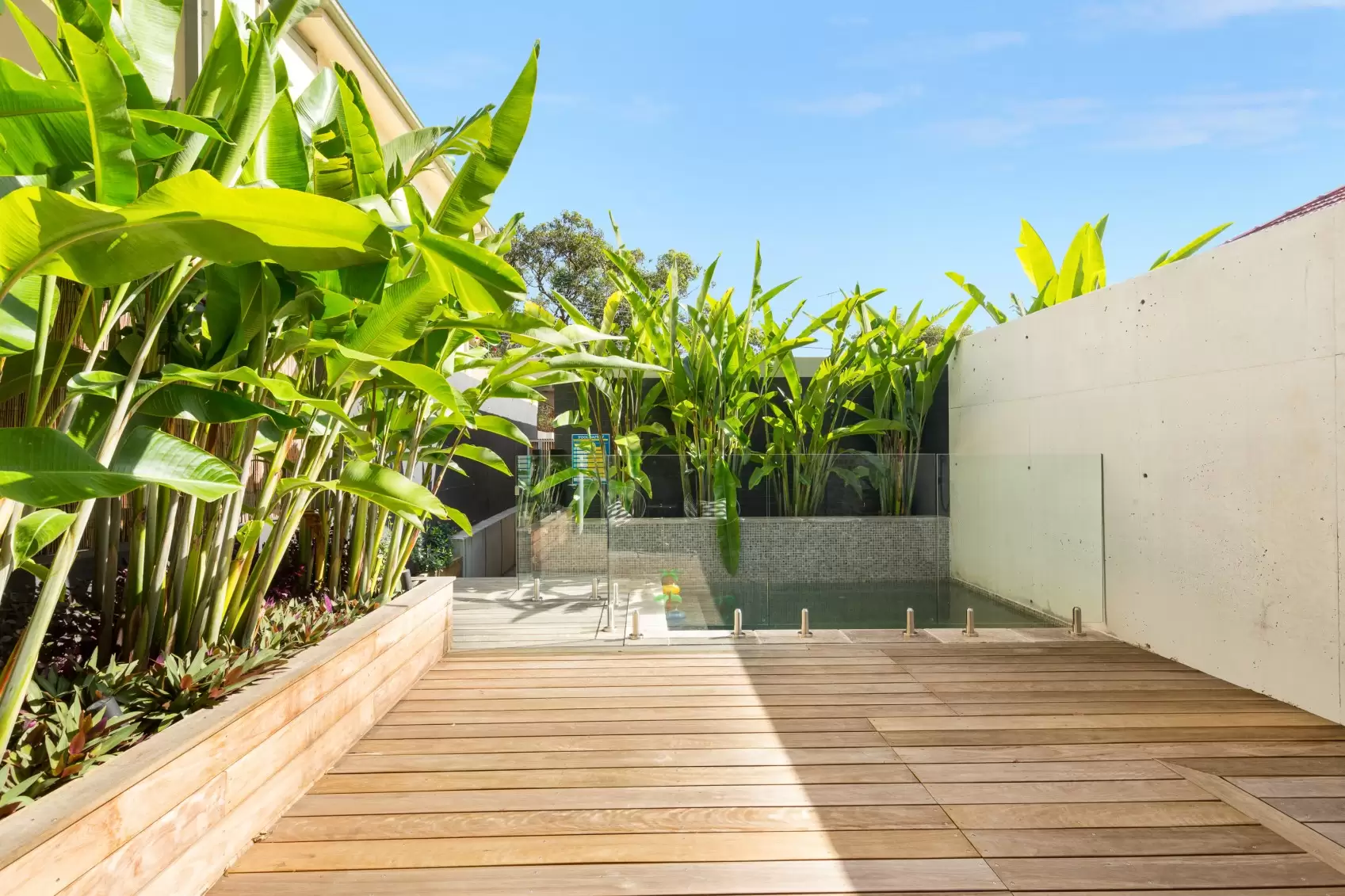 28a Dolphin Street, Randwick Leased by Ballard Property - image 14