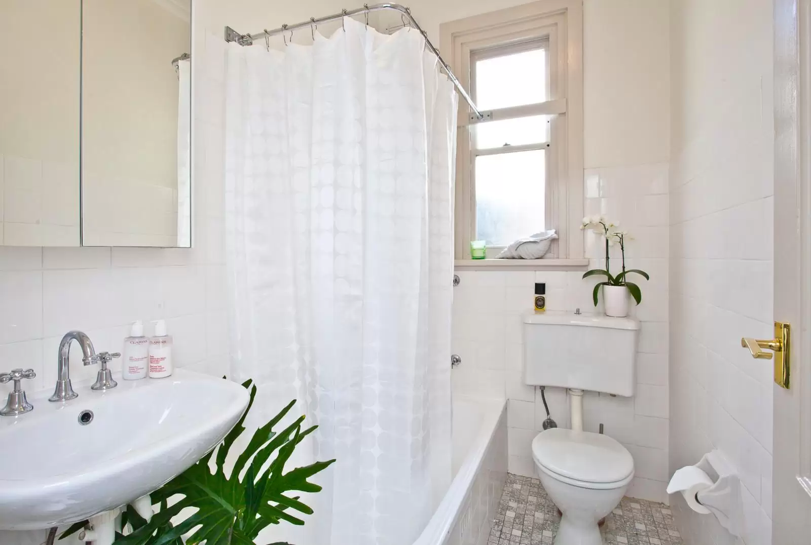 19 Prospect Street, Paddington Sold by Ballard Property - image 5