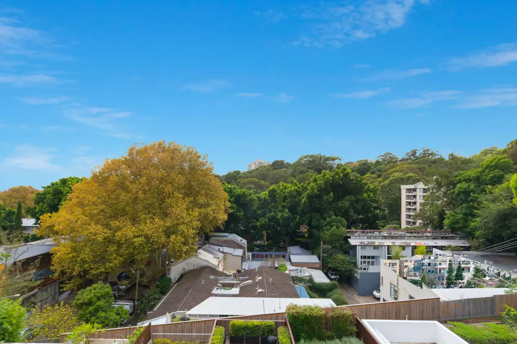 68 Sutherland Street, Paddington Leased by Ballard Property - image 13