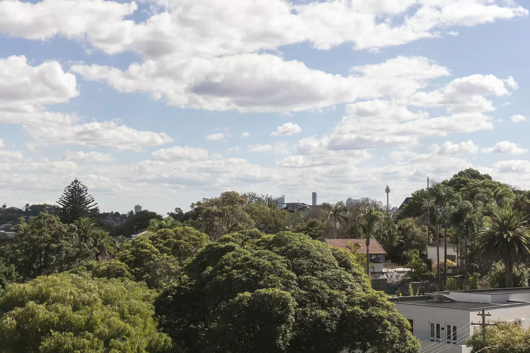 5/678-680 Old South Head Road, Rose Bay Leased by Ballard Property - image 8