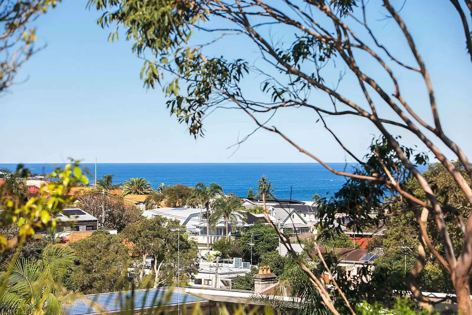 13 Busby Parade, Bronte Sold by Ballard Property - image 7