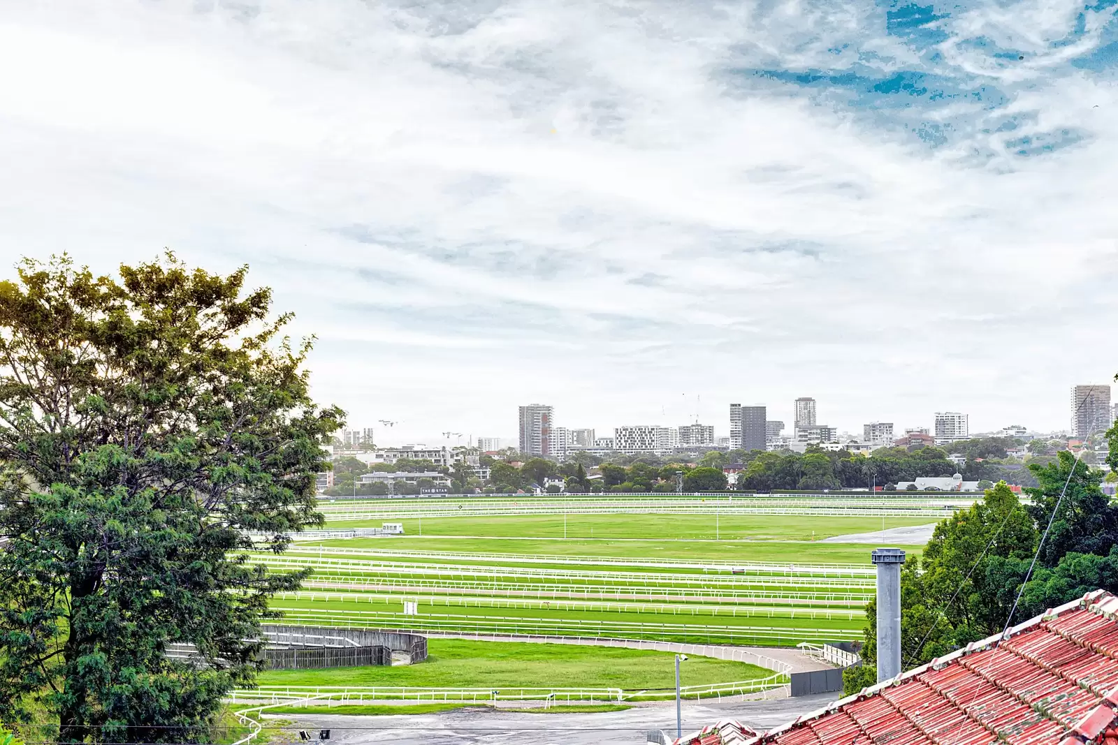 1A Bradley Street, Randwick Leased by Ballard Property - image 15