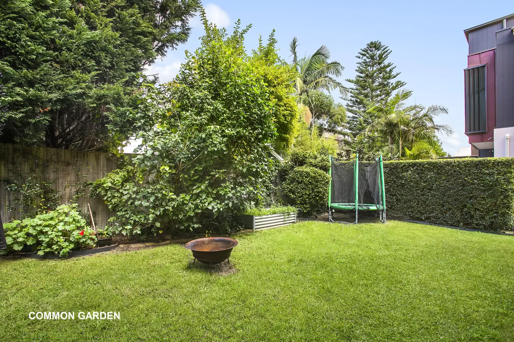 4/45 Chaleyer Street, Rose Bay Leased by Ballard Property - image 8