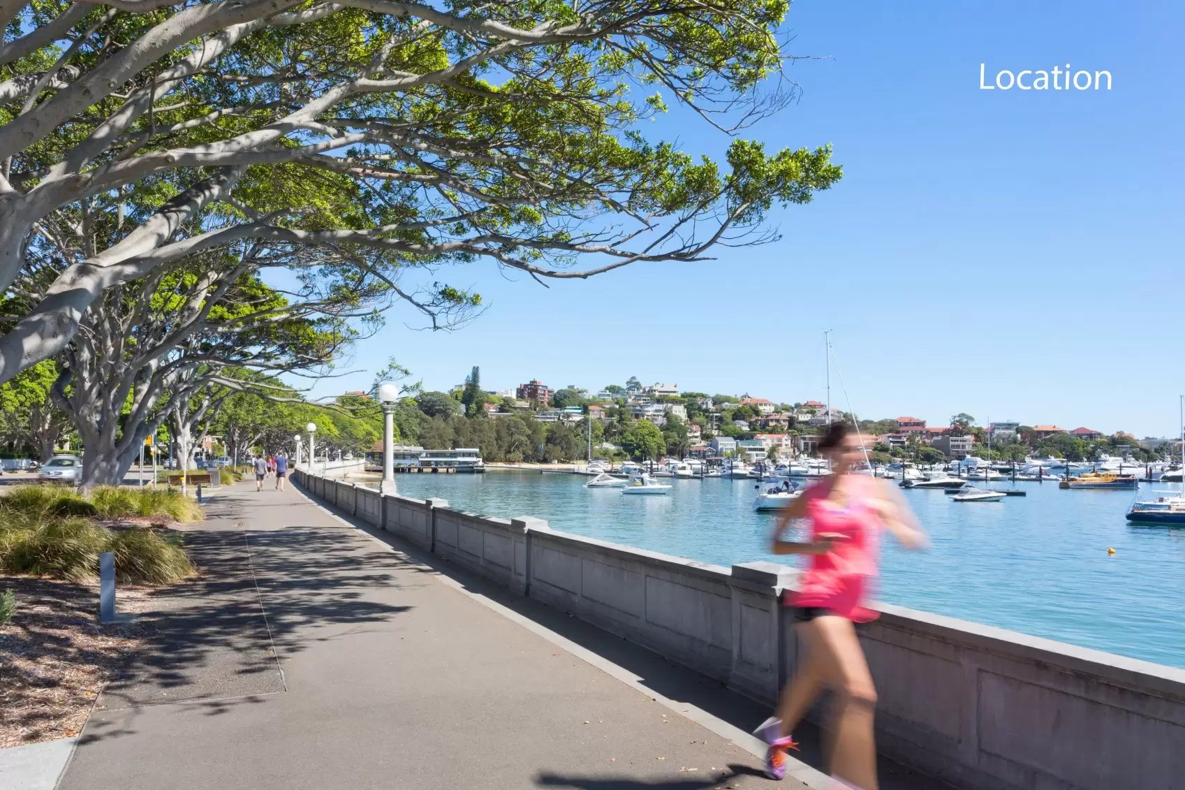4/45 Chaleyer Street, Rose Bay Leased by Ballard Property - image 11