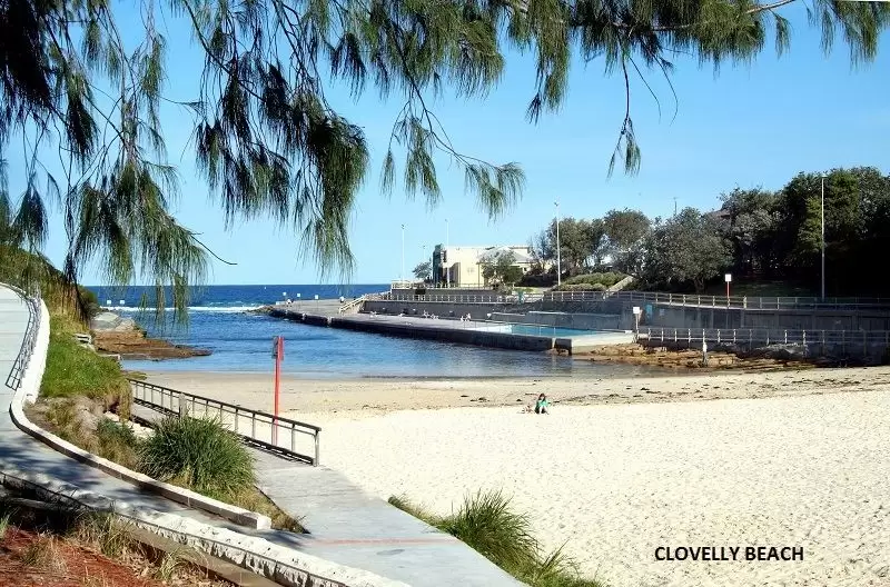 5/59 Burnie Street, Clovelly Leased by Ballard Property - image 9