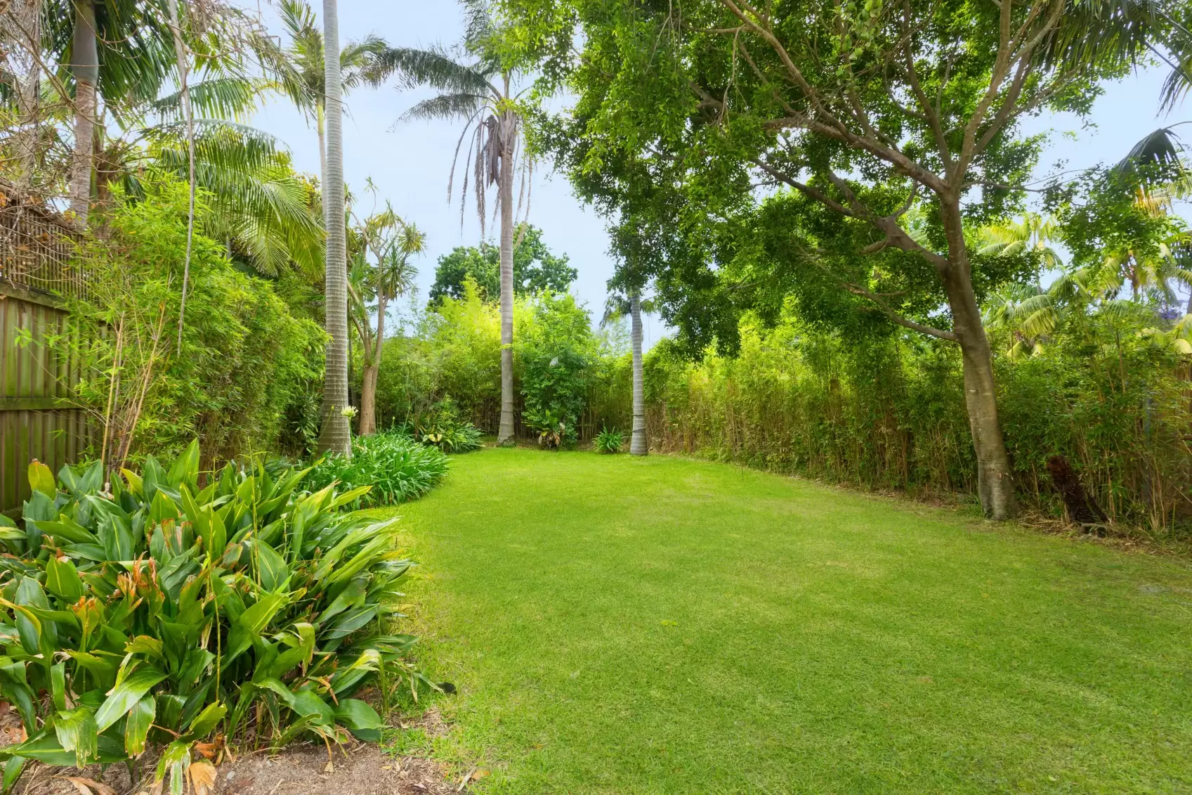 8 Lennox Street, Bellevue Hill Leased by Ballard Property - image 4