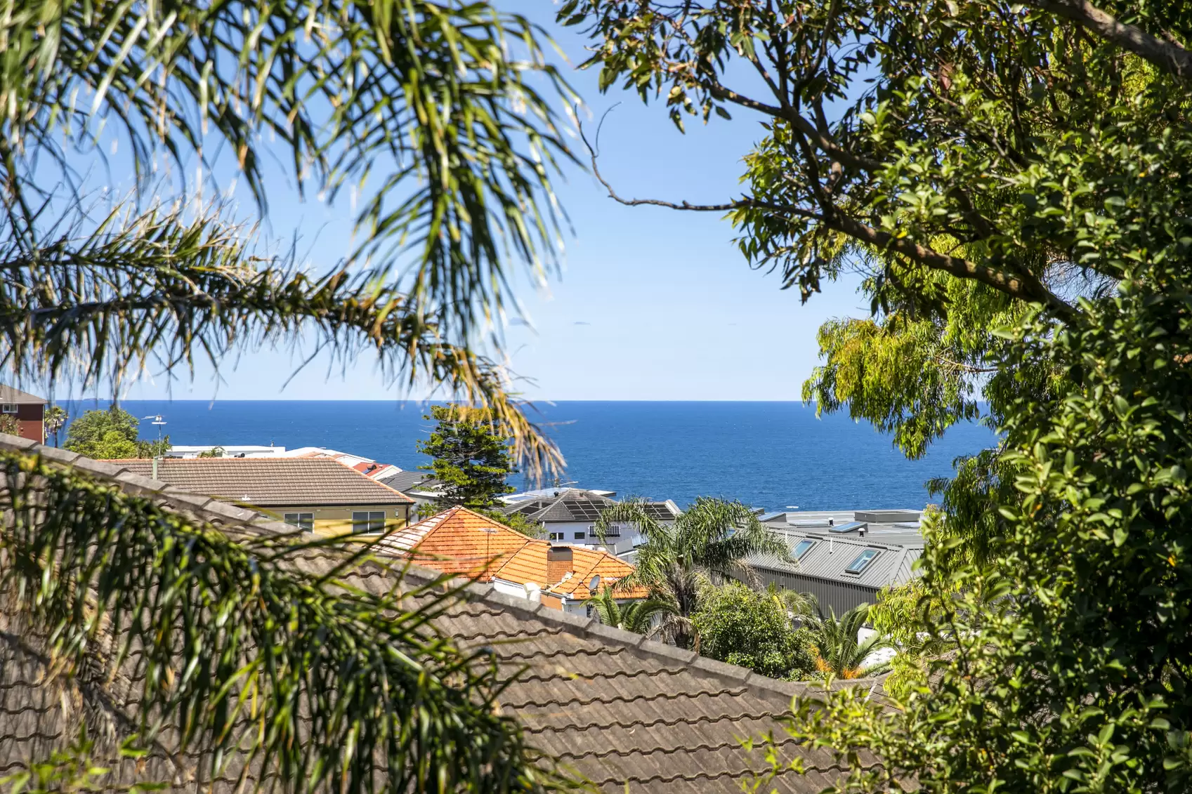 28/745-747 Old South Head Road, Vaucluse Leased by Ballard Property - image 3