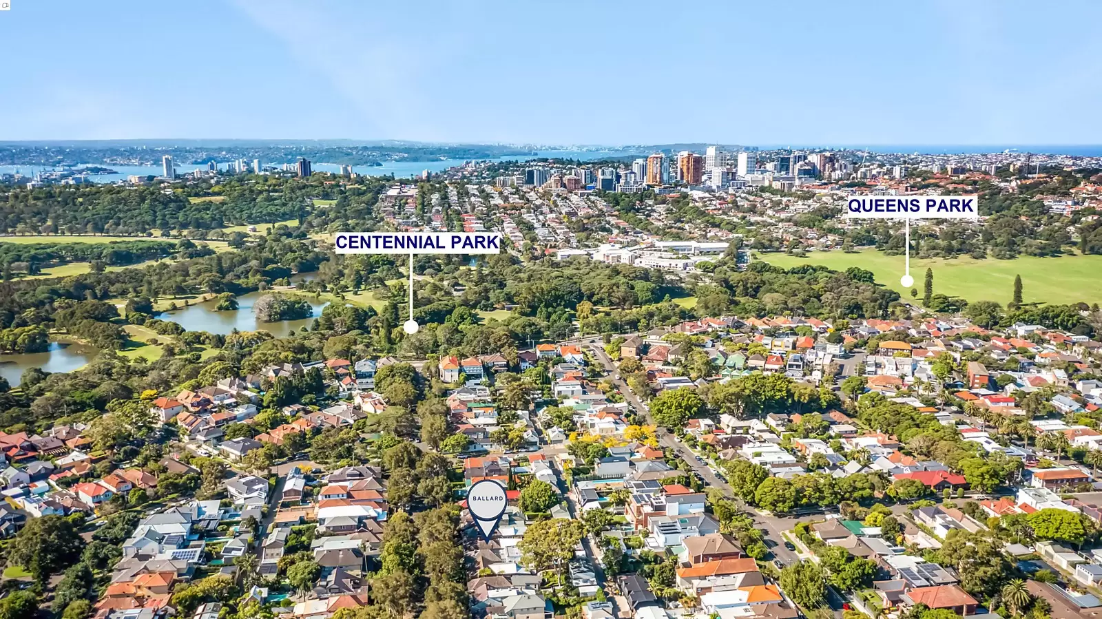 41 Dangar Street, Randwick Sold by Ballard Property - image 11