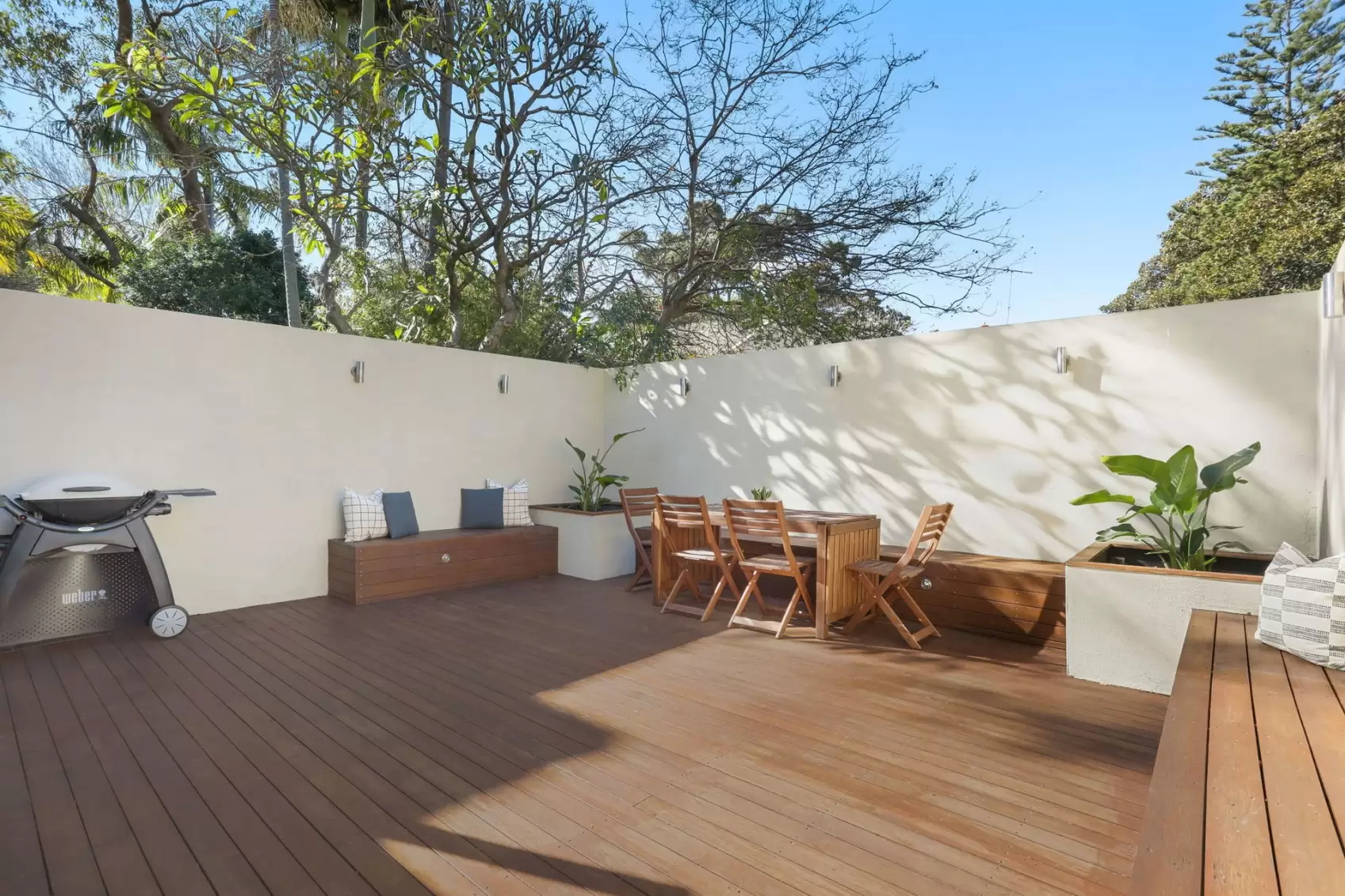 58 Wiley Street, Waverley Leased by Ballard Property - image 2