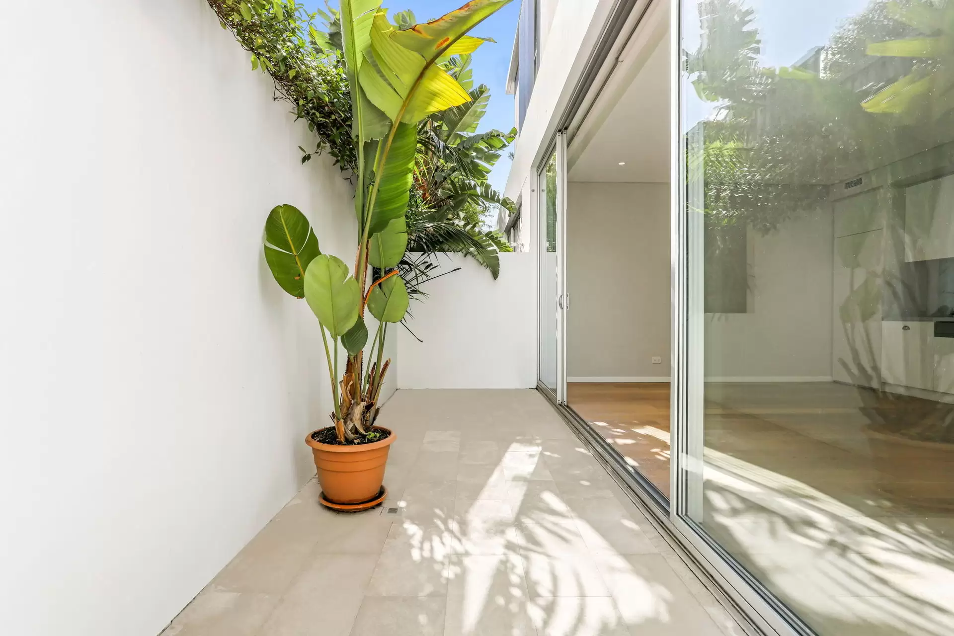 3/36 Fletcher Street, Tamarama Leased by Ballard Property - image 6