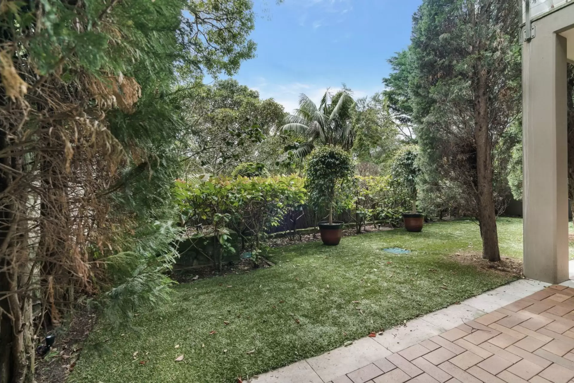34 Roslyndale Avenue, Woollahra Leased by Ballard Property - image 15