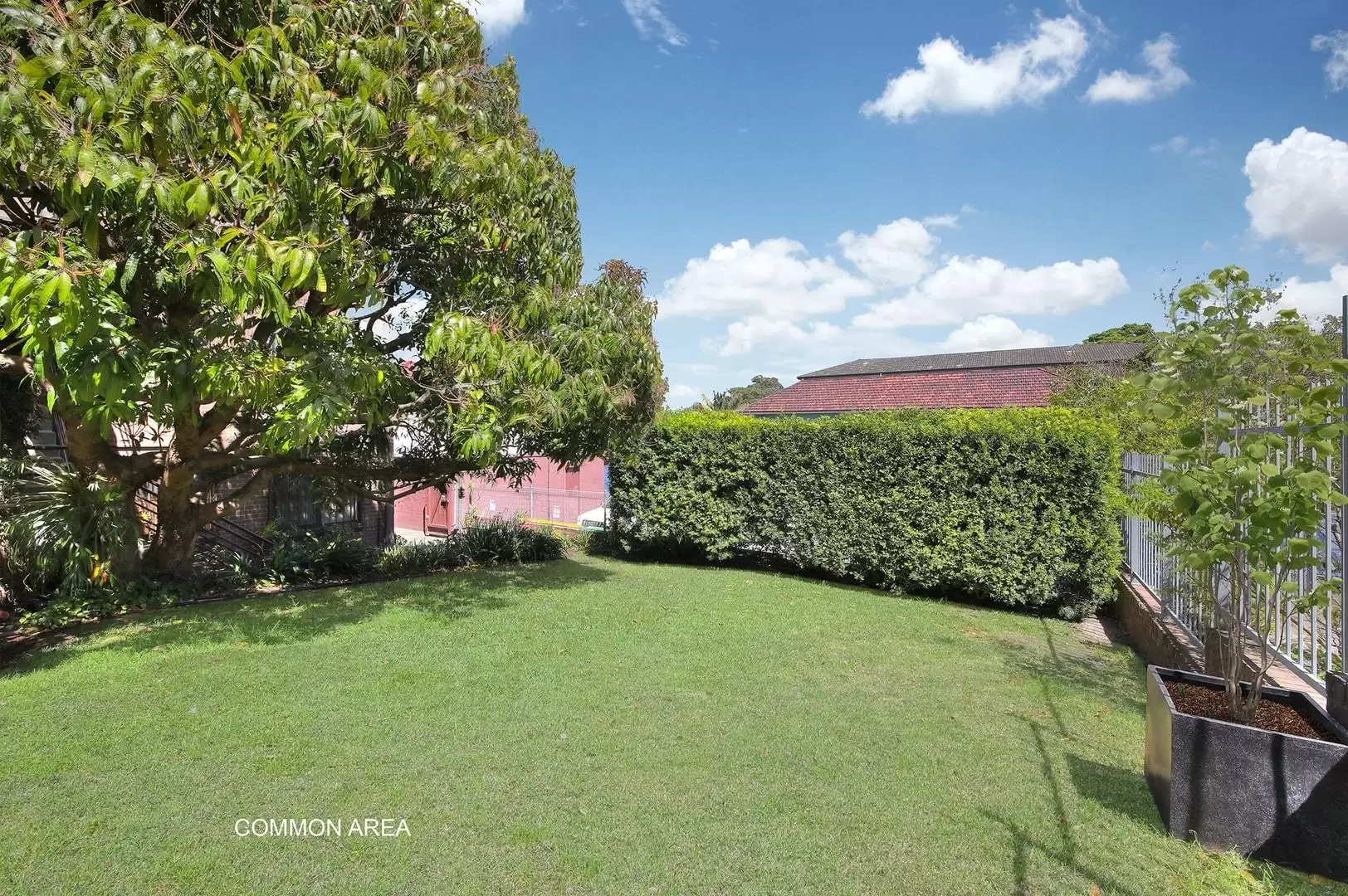 5/91 Gilderthorpe Avenue, Randwick Leased by Ballard Property - image 6