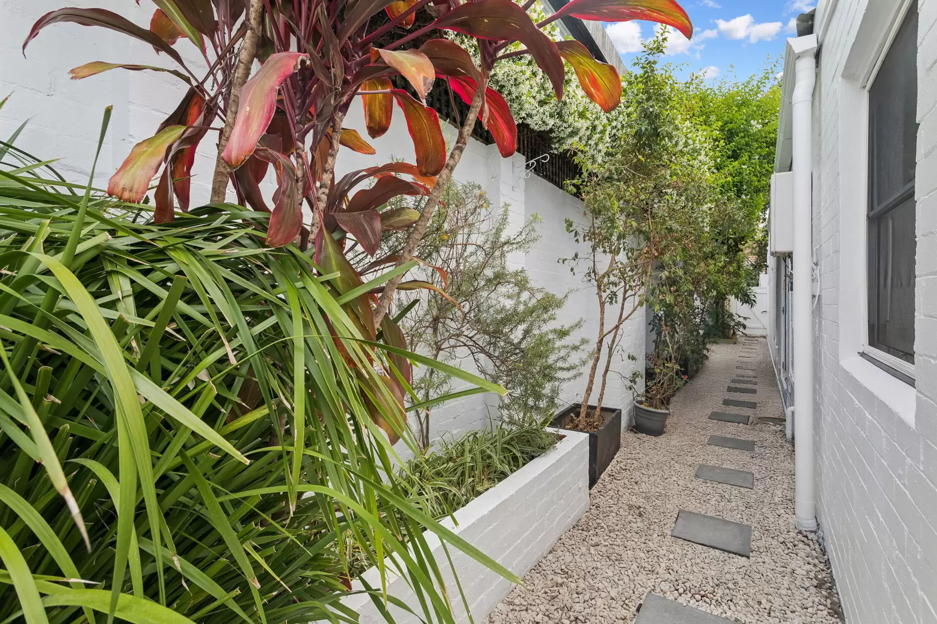 9 Harkness Street, Woollahra Leased by Ballard Property - image 6