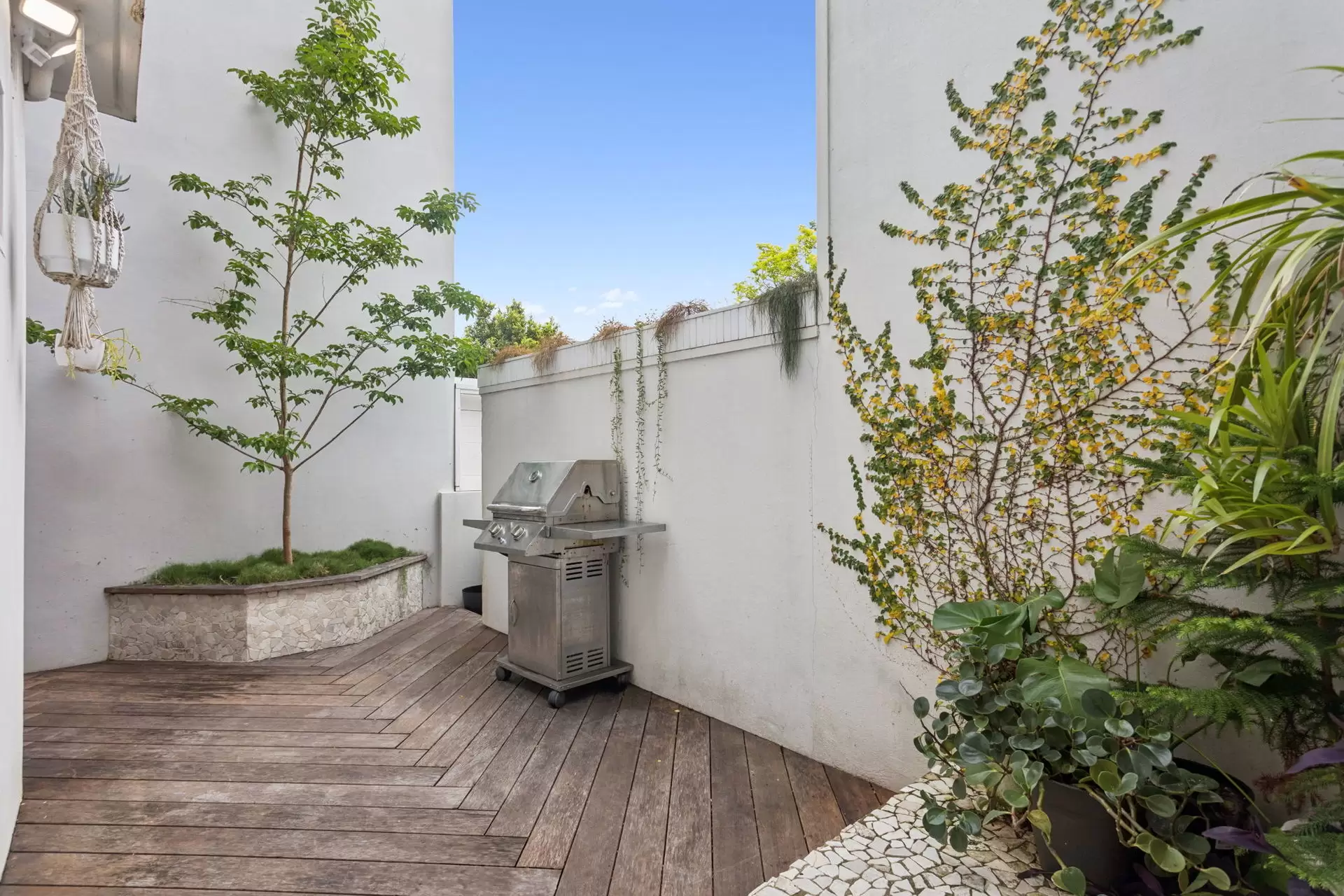25 Renny Street, Paddington Leased by Ballard Property - image 4