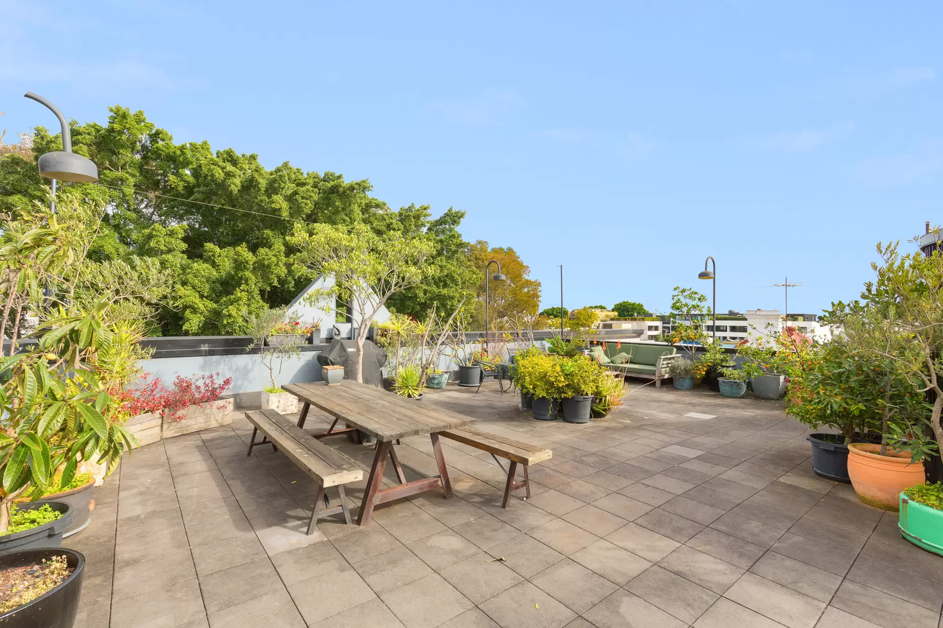 10/10-16 Epsom Road, Zetland Leased by Ballard Property - image 1